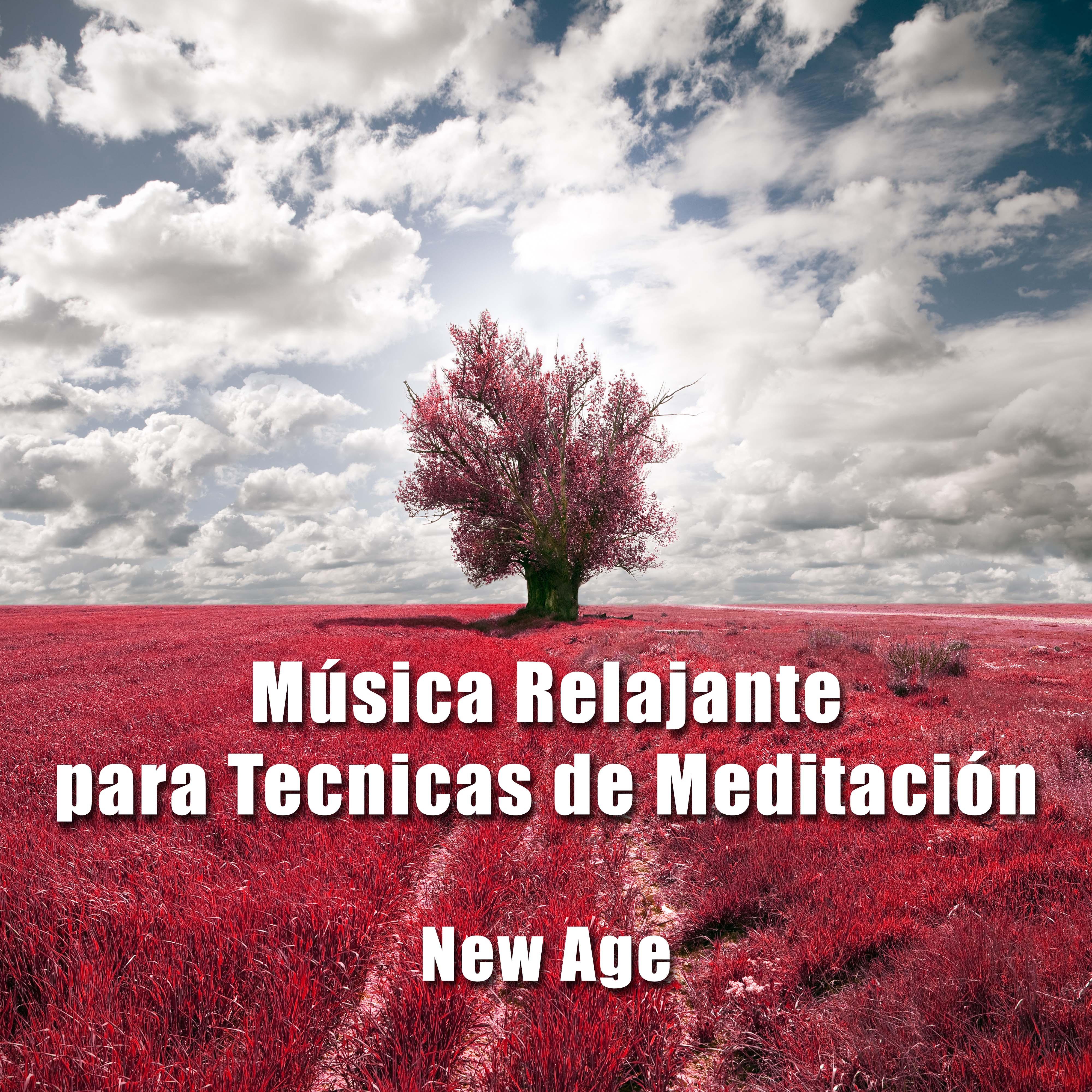 La Mejor Musica Relajante para Tecnicas de Meditacion con Sonidos Naturales