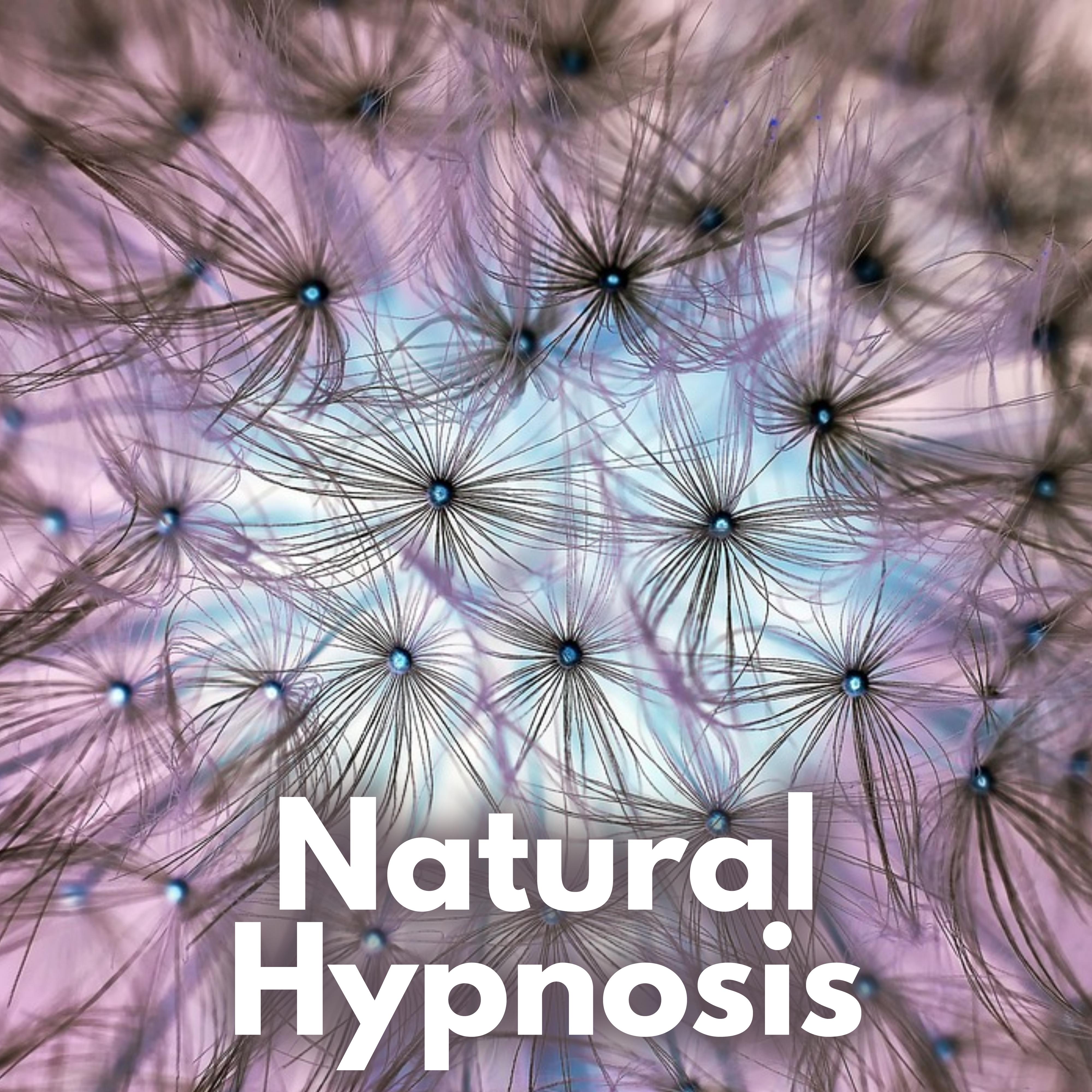 Natural Hypnosis - Calm and Silence, Positive Influence of Nature, Ambient Sounds, Inner Freedom