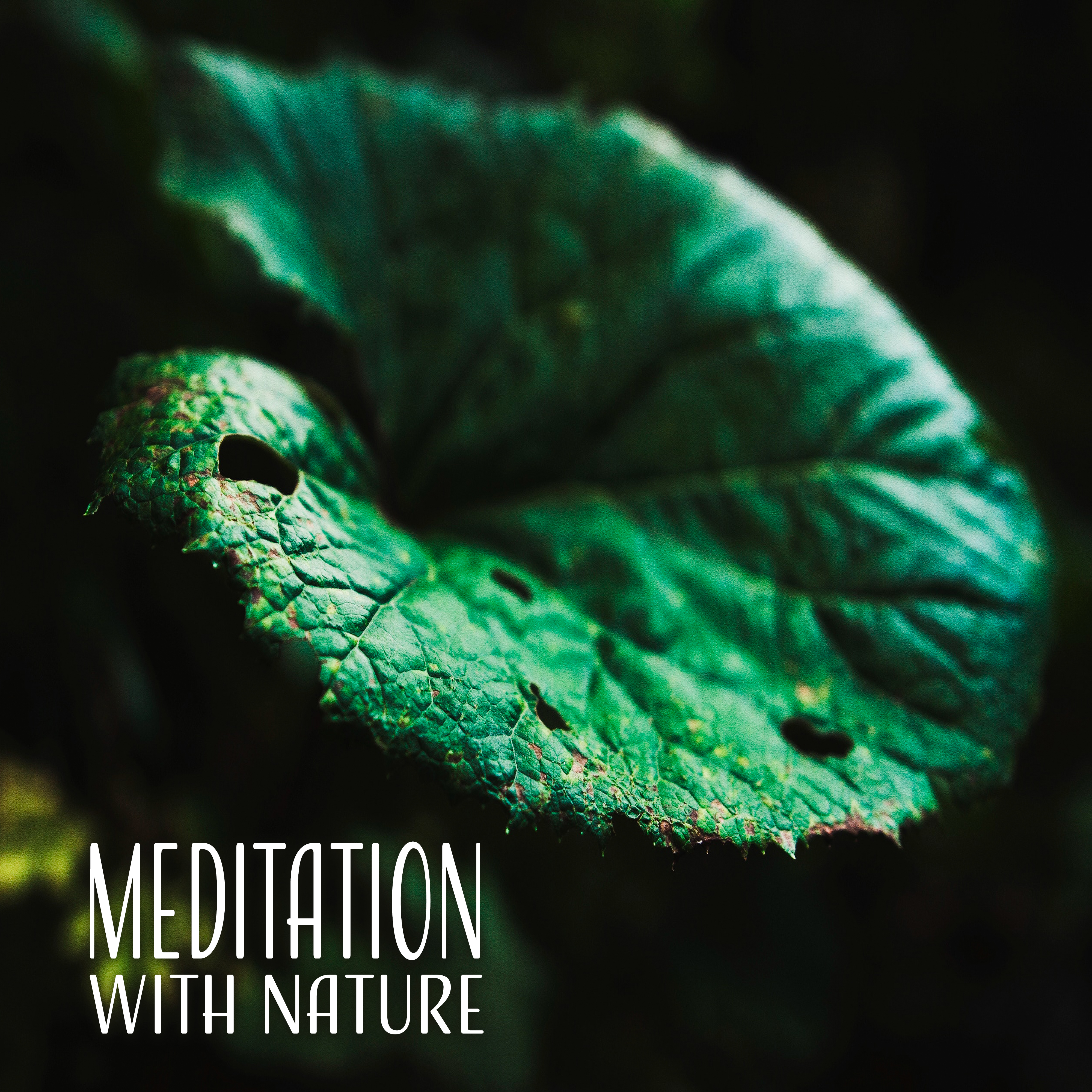 Meditation with Nature  Peaceful Melodies, Meditate, Hatha Yoga, Deep Sleep, Inner Balance