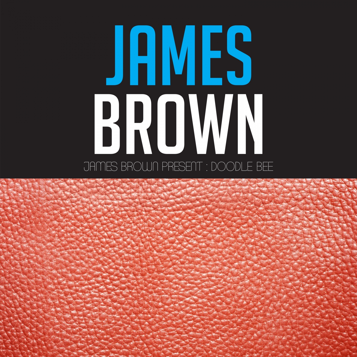 James Brown presents : Doodle Bee
