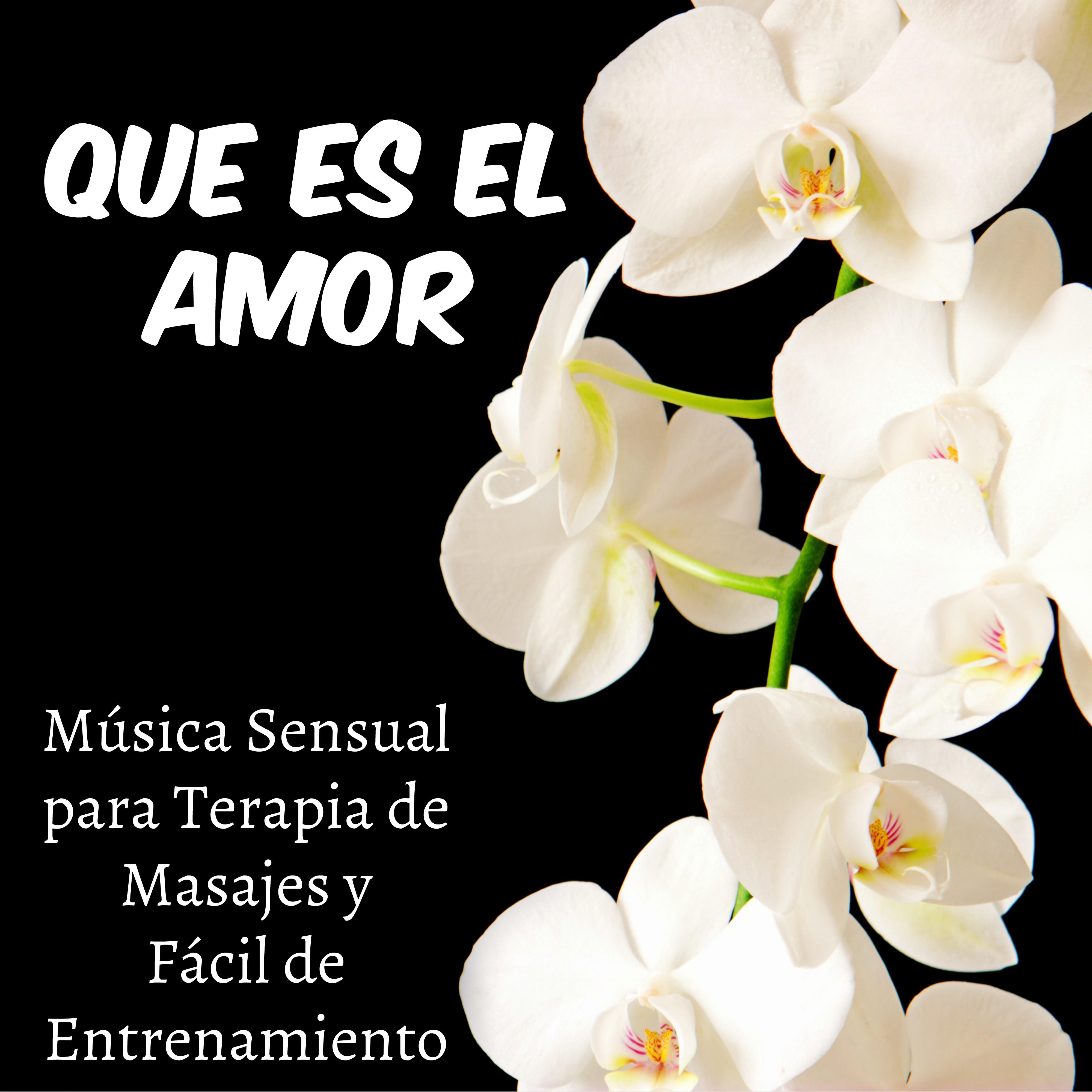 Que es el Amor  Mu sica Sensual para Terapia de Masajes y Fa cil de Entrenamiento, Sonidos Lounge Chillout Instrumental Romantica