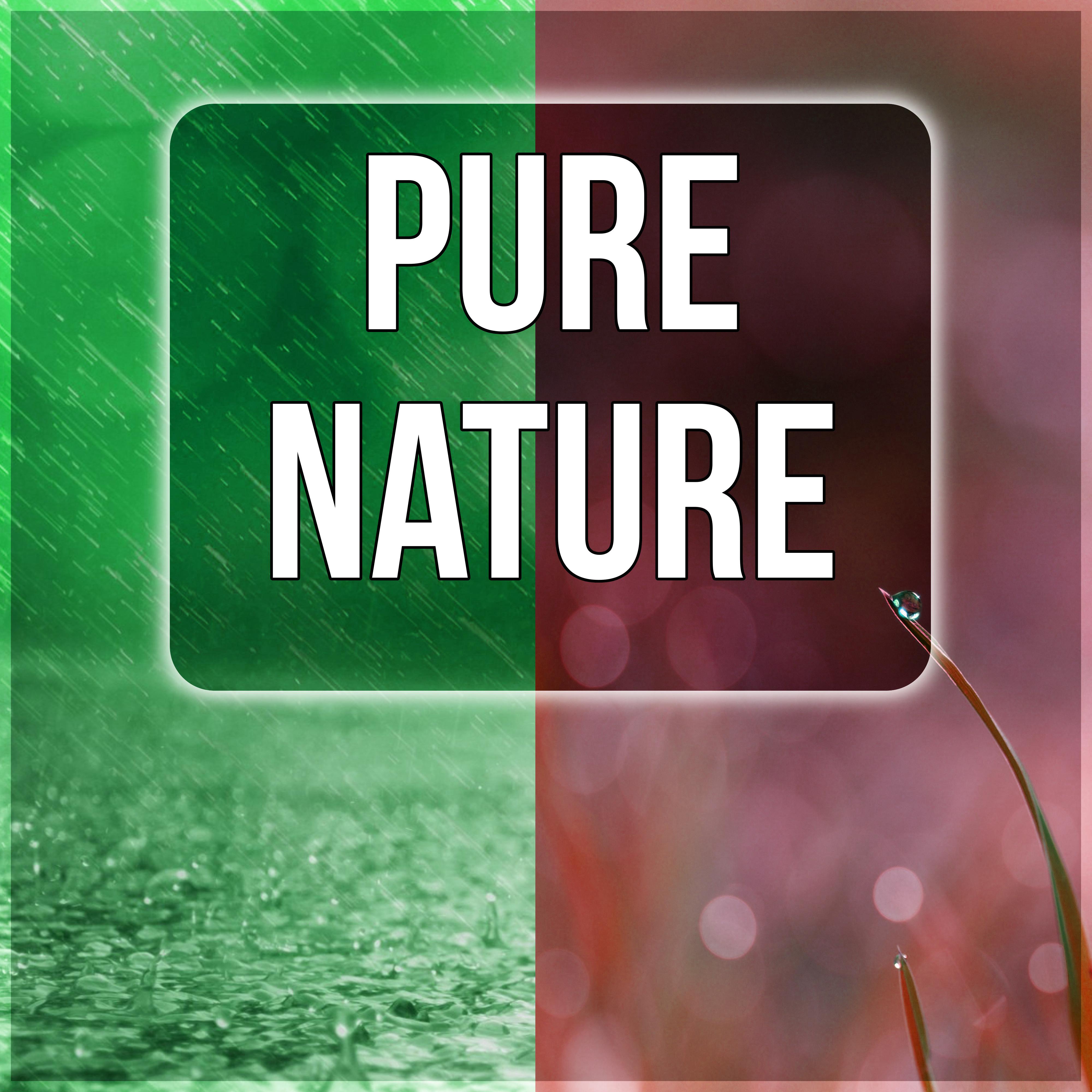 Pure Nature  Calm Nature Sounds, Natural Therapy, Sensual Massage Music, Spa Relaxation