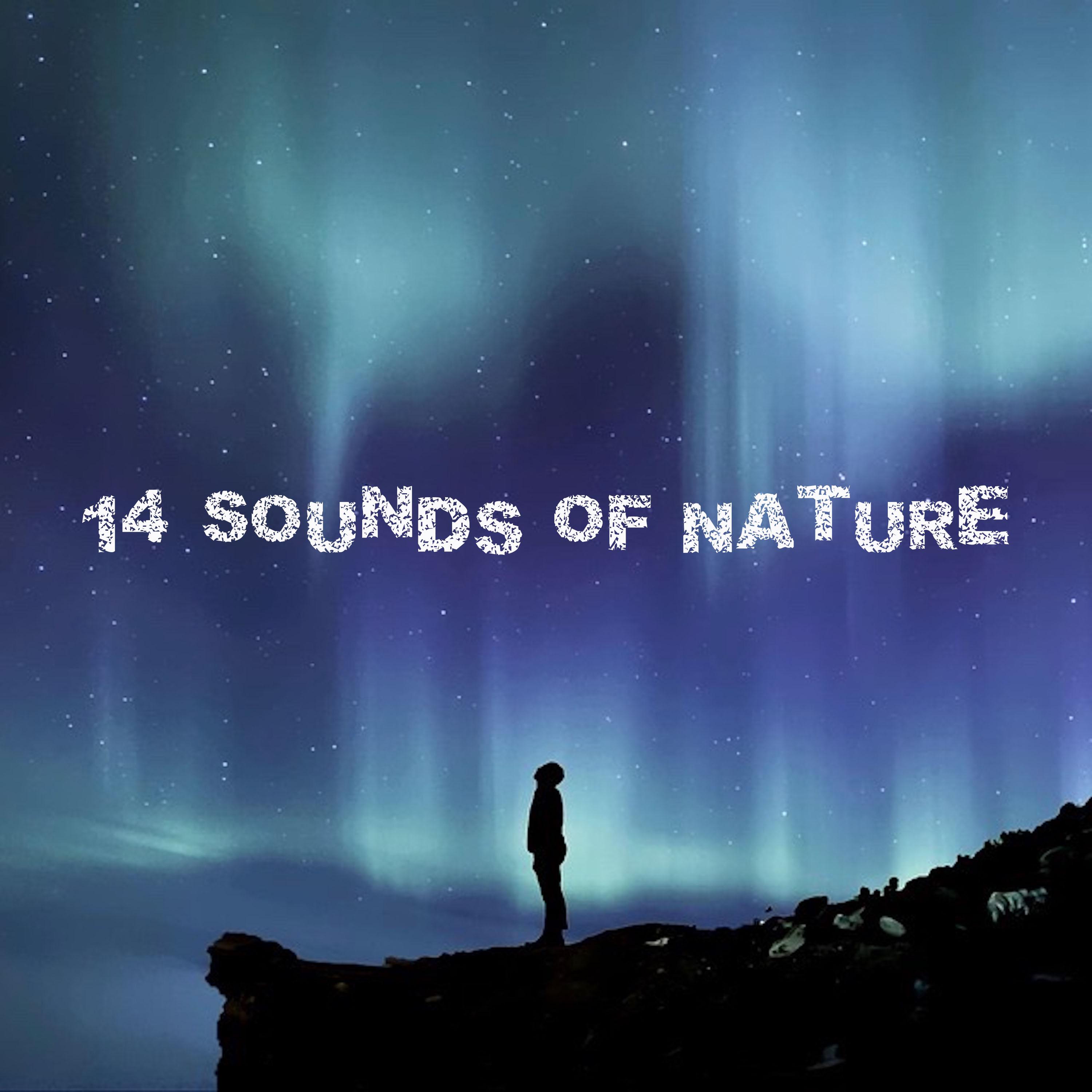 14 Sounds of Nature to Help You Sleep