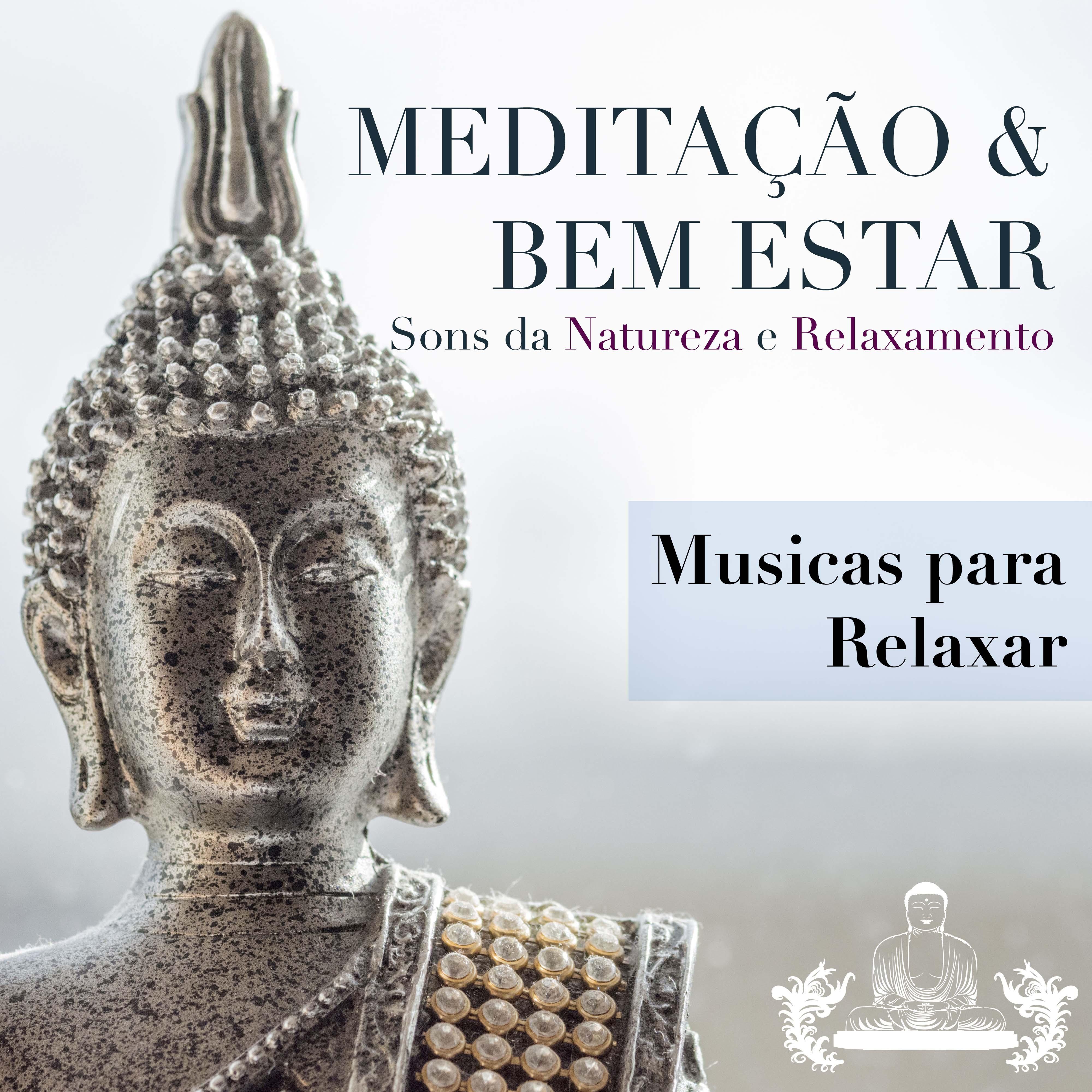 Medita o  Bem Estar: Musicas para Relaxar, Sons da Natureza e Relaxamento