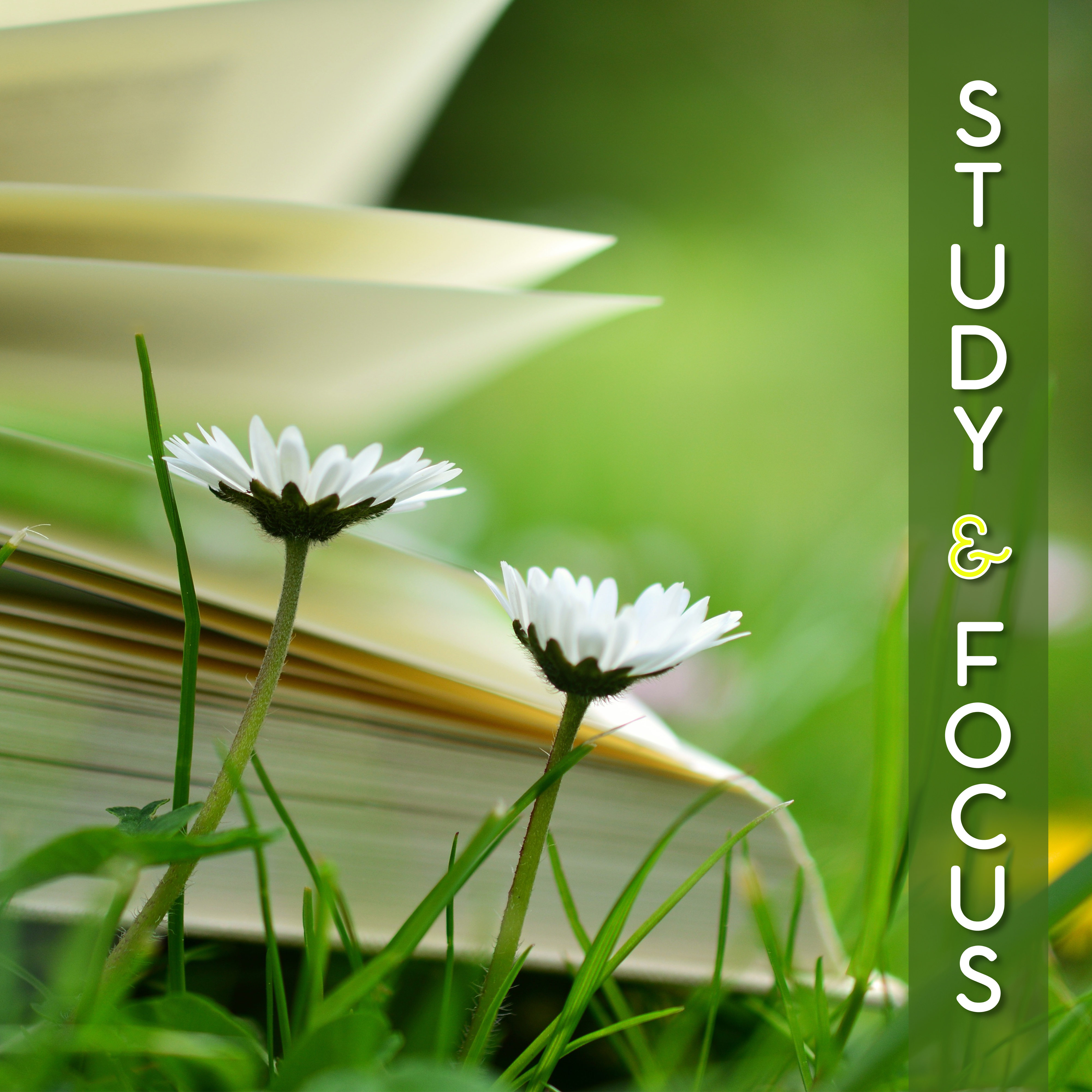 Study  Focus  Music for Learning, Keep Focus  Improve Memory, Relaxing Music for Study