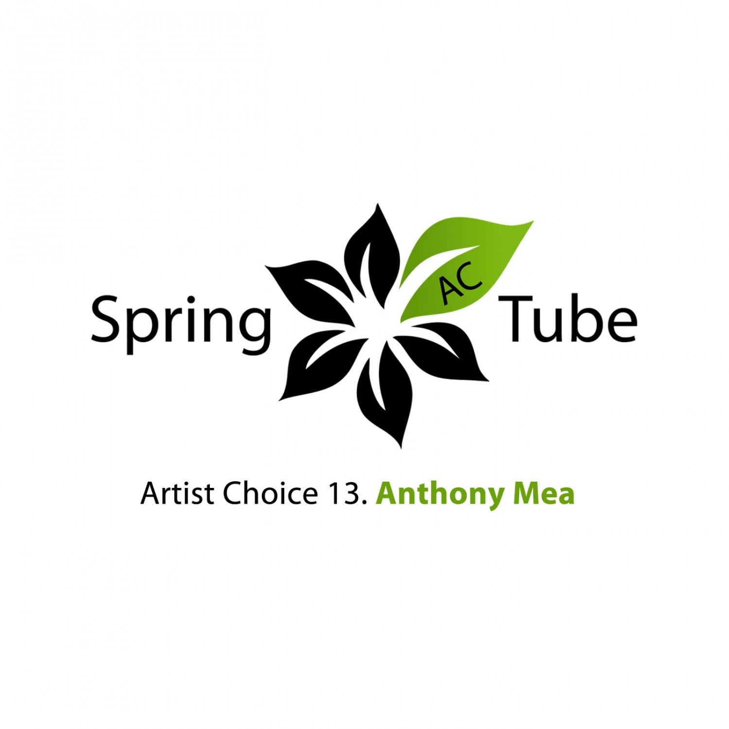Artist Choice 013. Anthony Mea