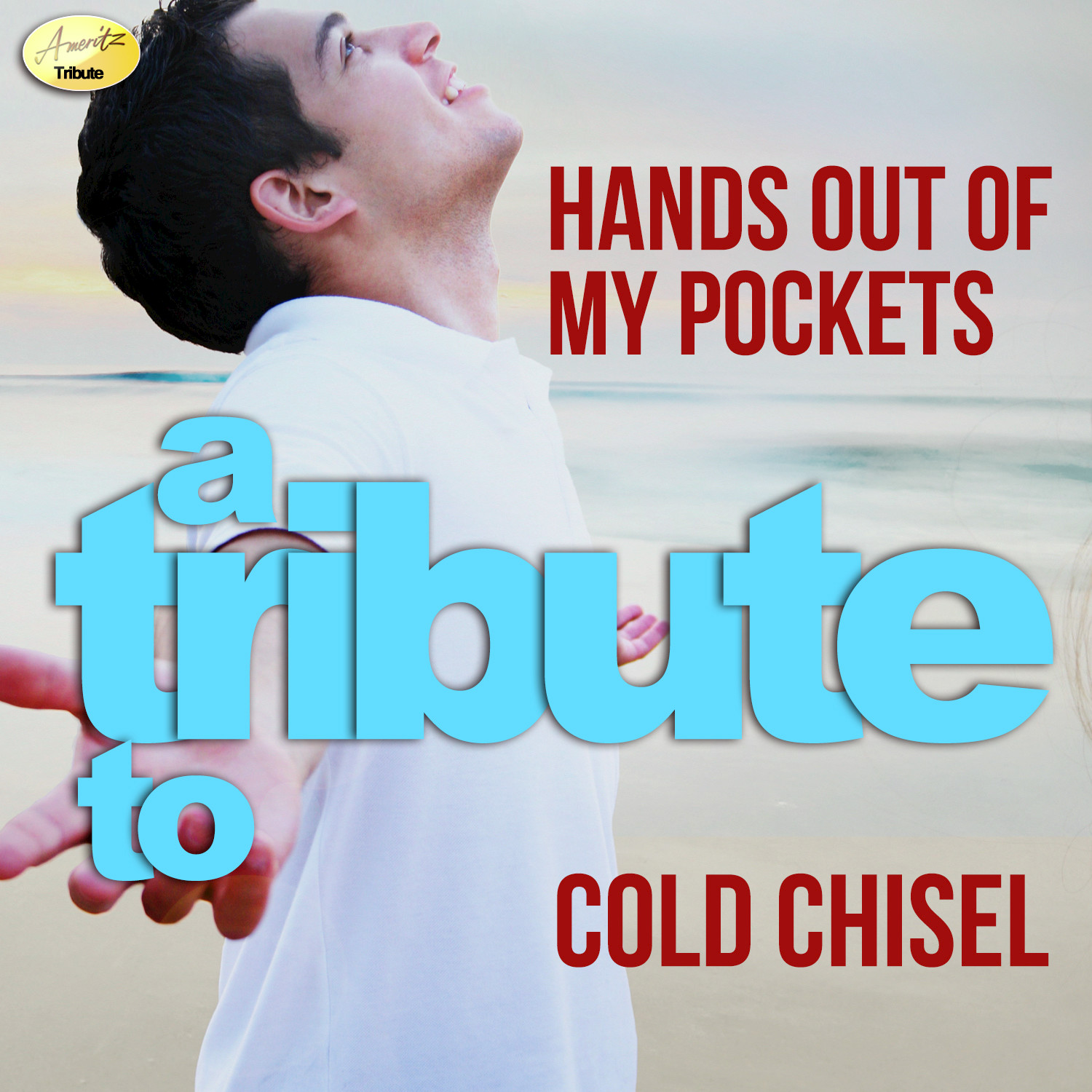 Hands out of My Pocket - A Tribute to Cold Chisel