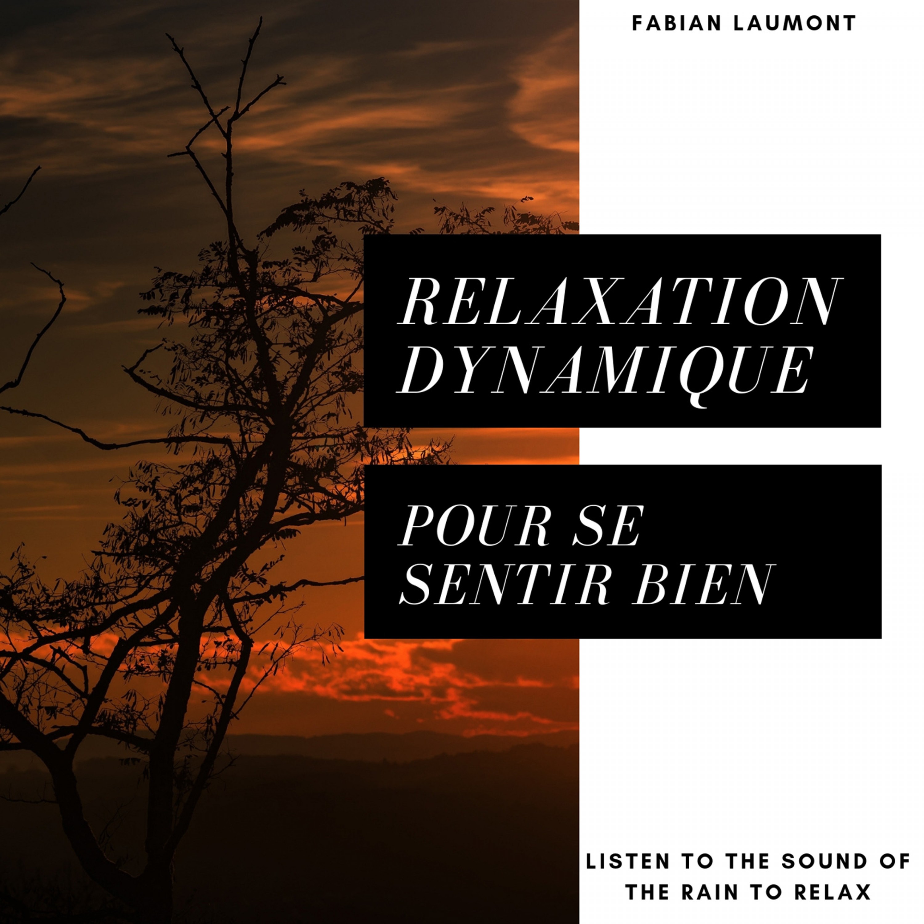 Relaxation Dynamique Et Chant Celtique