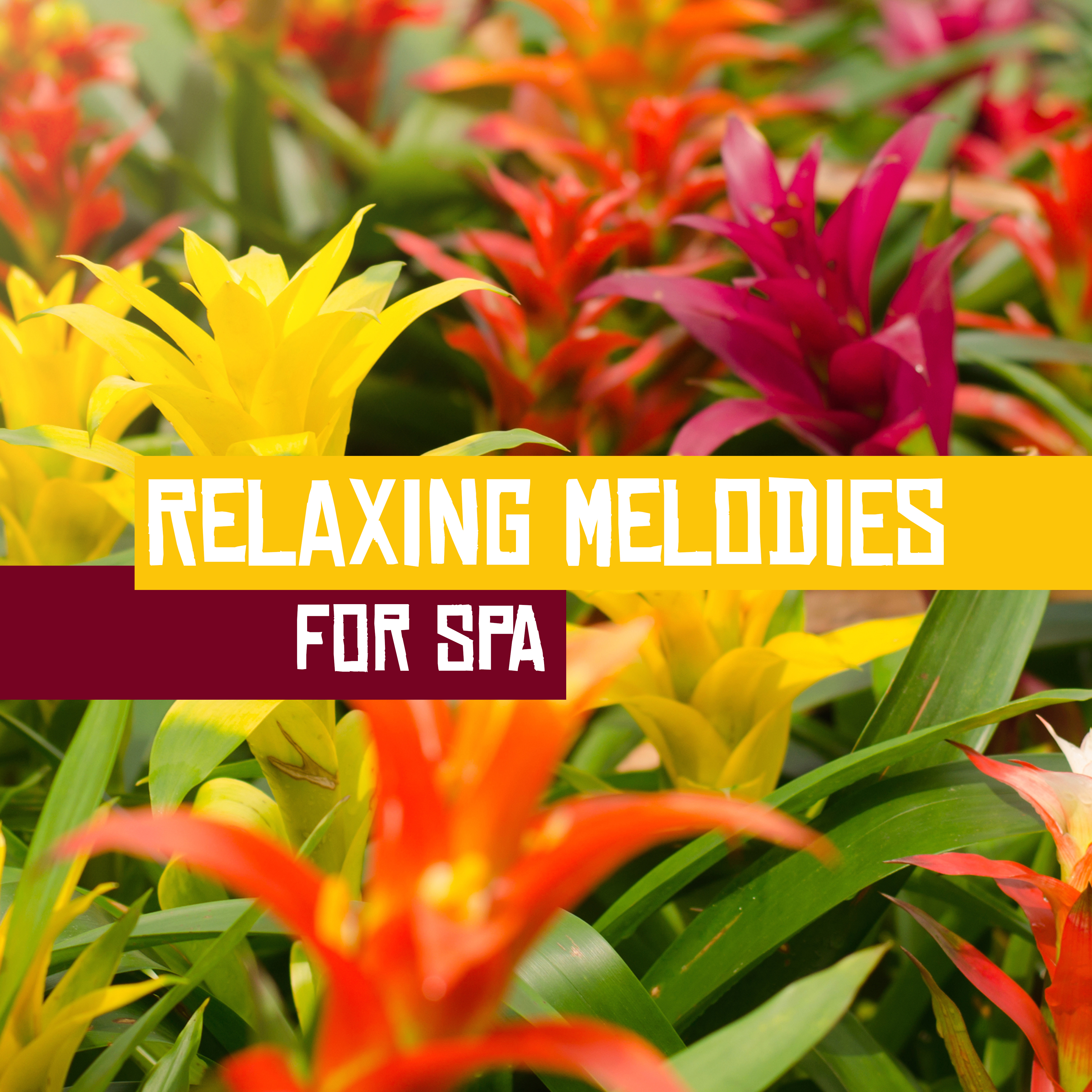 Relaxing Melodies for Spa