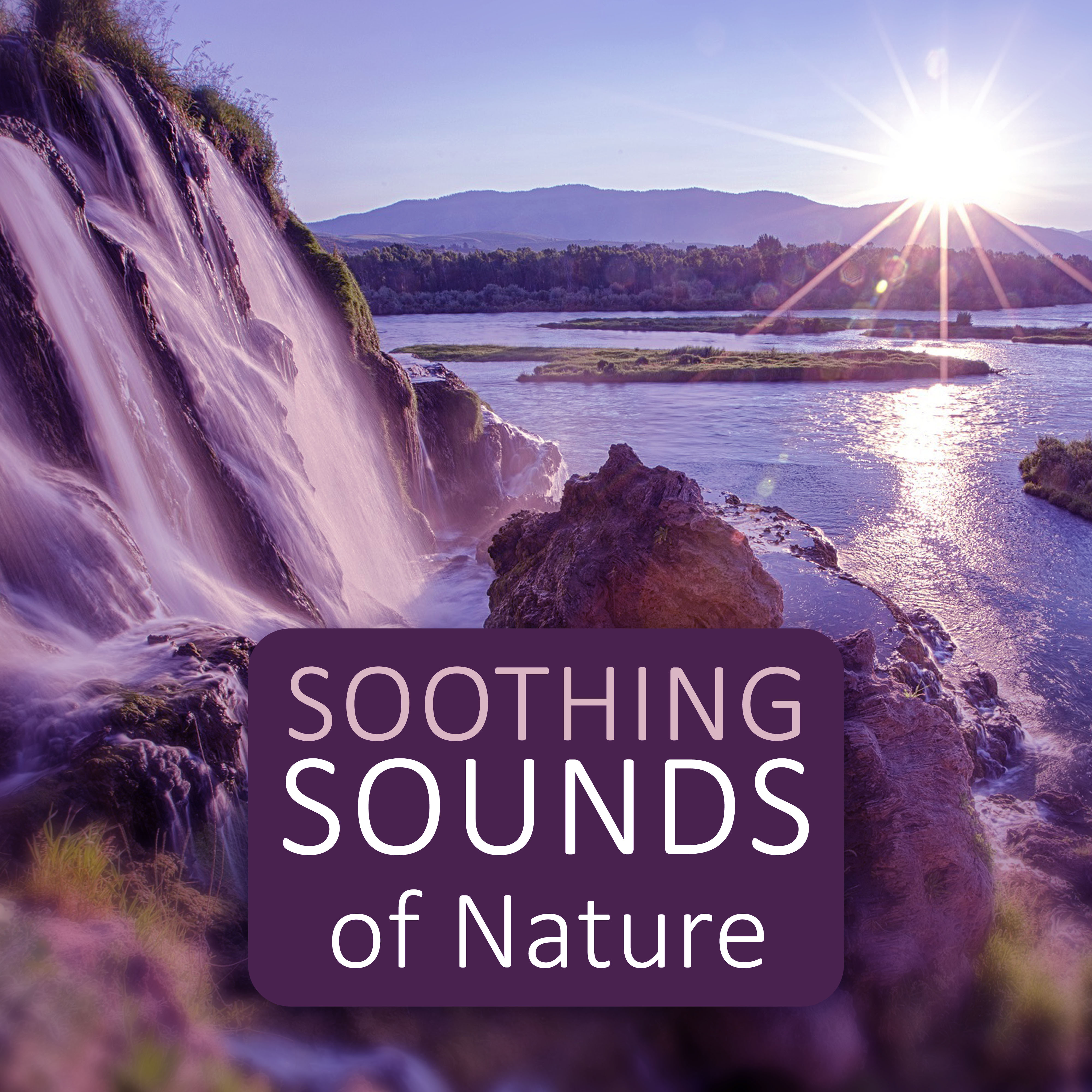 Soothing Sounds of Nature  Sound of Nature, Summer Sounds, Calming Music for Relaxation, Deep Sounds for Meditation