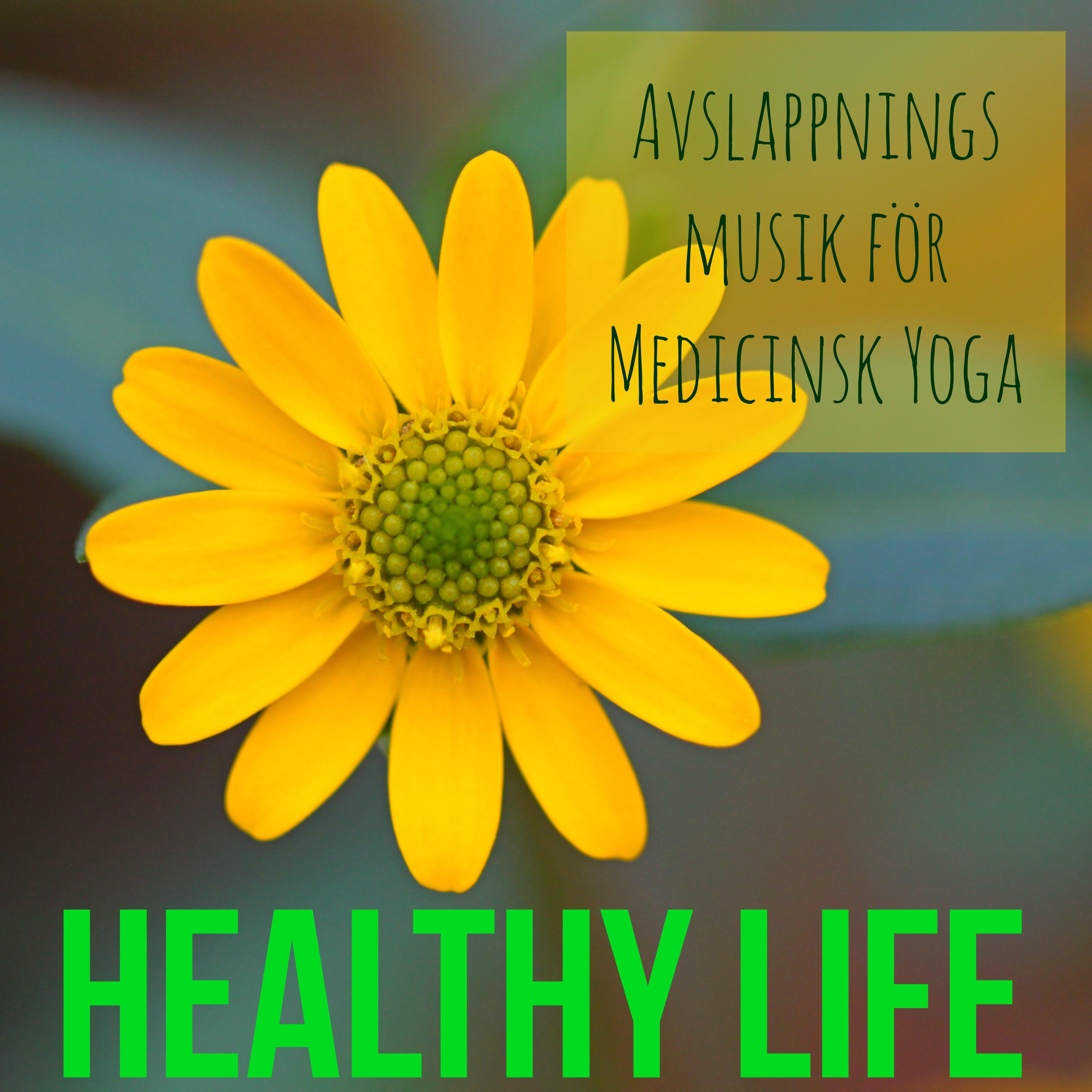 Healthy Life  Lounge Chillout Avslappningsmusik f r Medicinsk Yoga med Instrumental och Naturljud