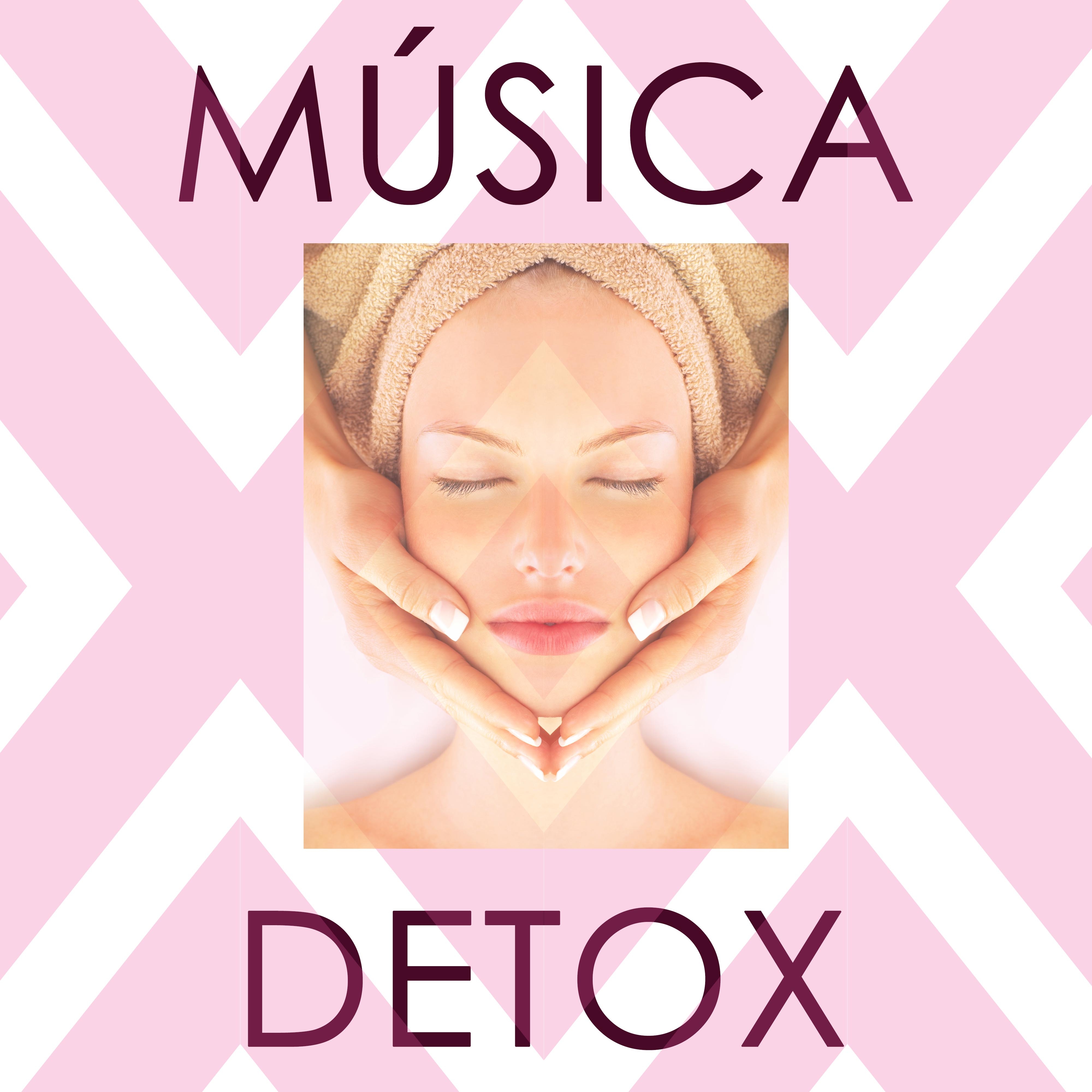 Mu sica Detox  Mu sica Tranquila Relajante para Crear Tu Espacio del Cuidado Personal para el Bienestar y la Paz Interior