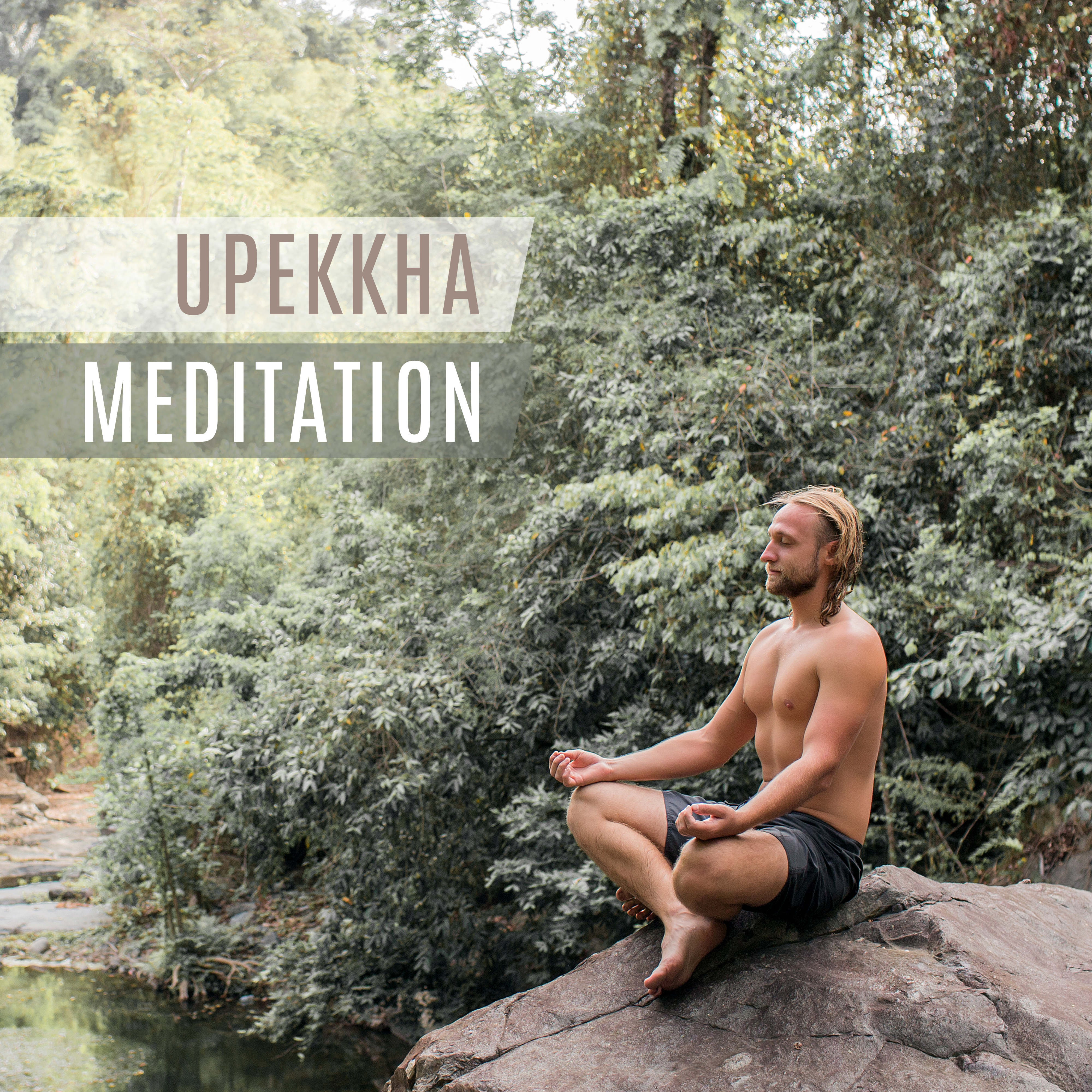 Upekkha Meditation