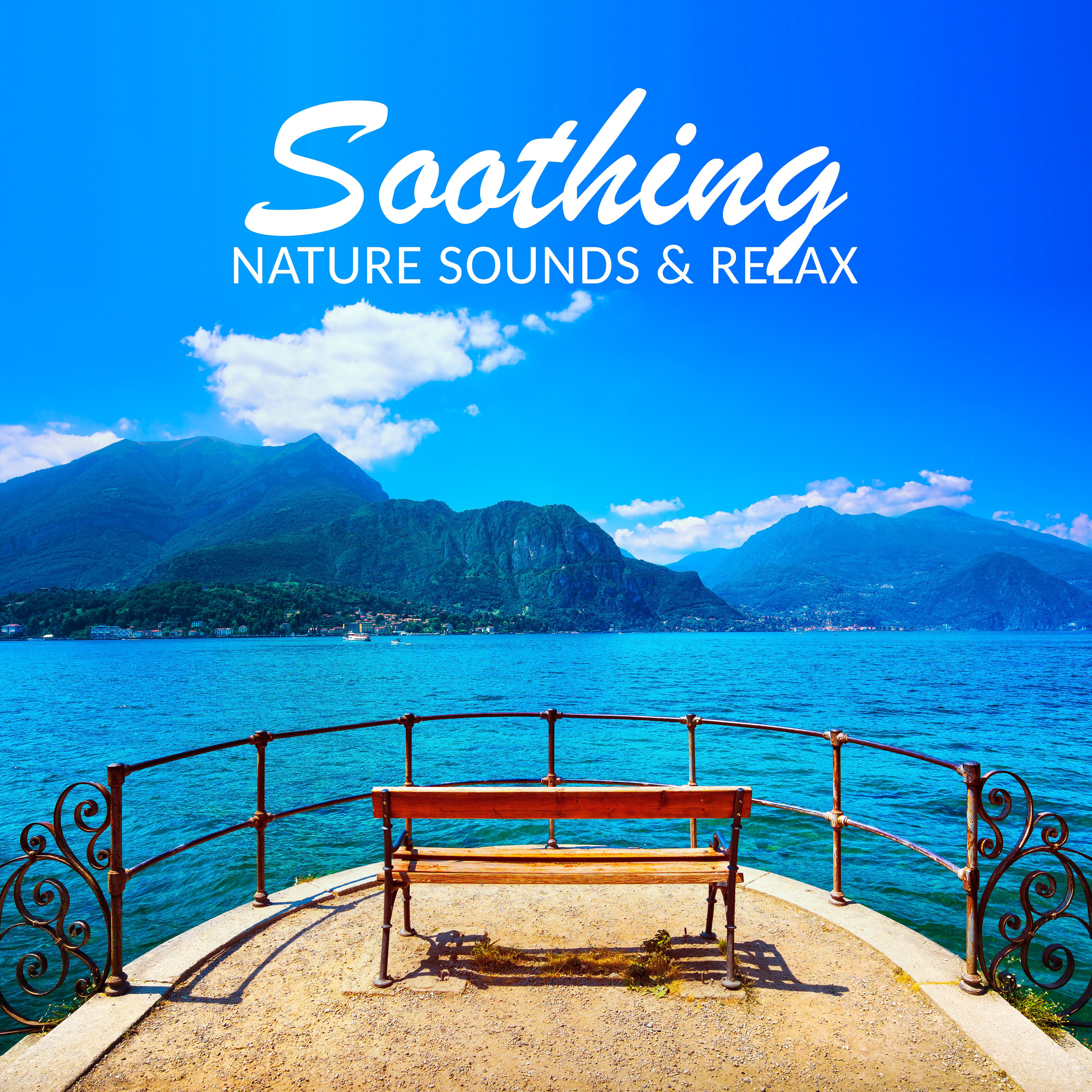 Soothing Nature Sounds & Relax