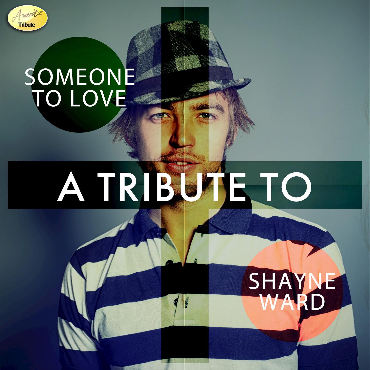 Someone to Love - A Tribute to Shayne Ward