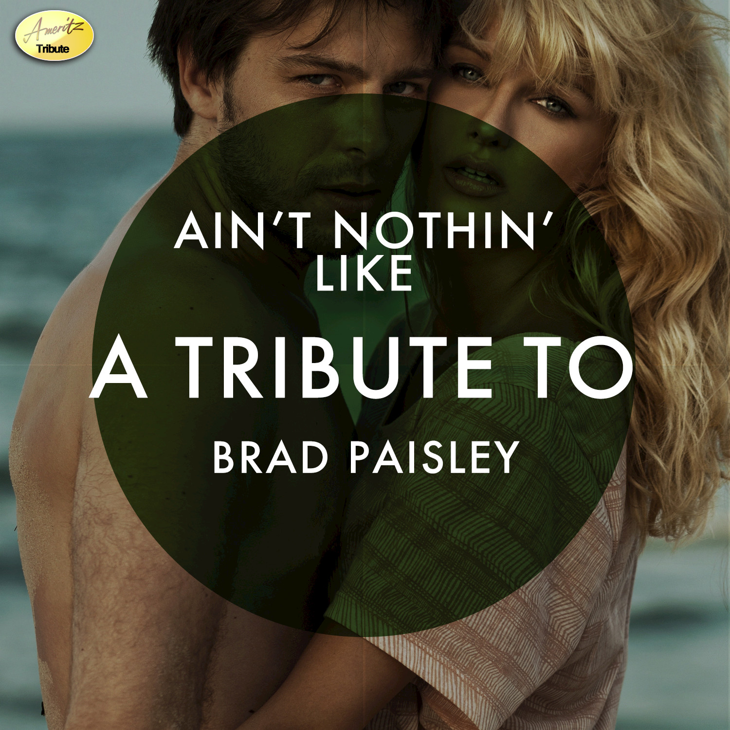 Ain't Nothin' Like - A Tribute to Brad Paisley
