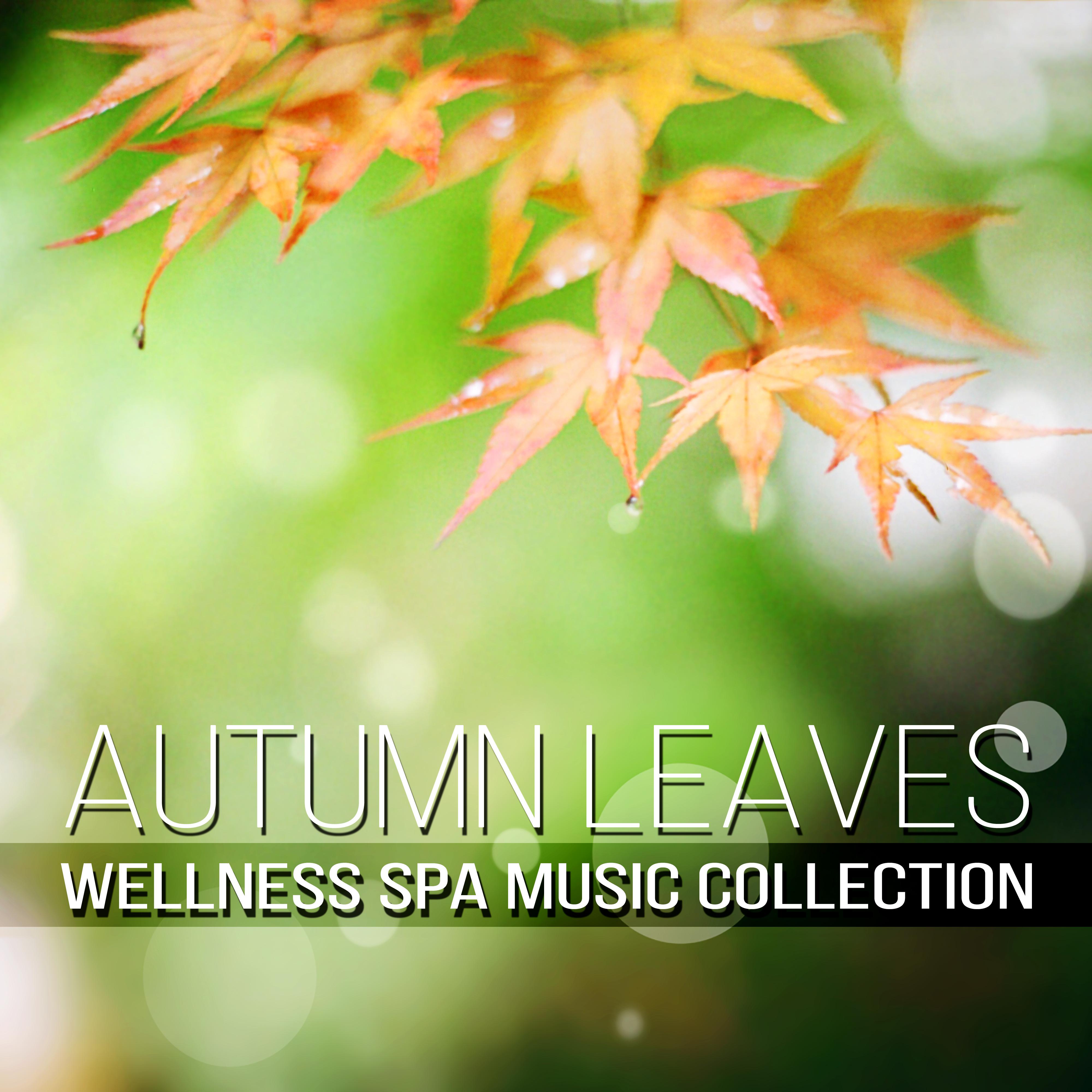 Autumn Leaves - Wellness Spa Music Collection, Soothing Sounds for Serenity Spa, Total Relax and Wellbeing