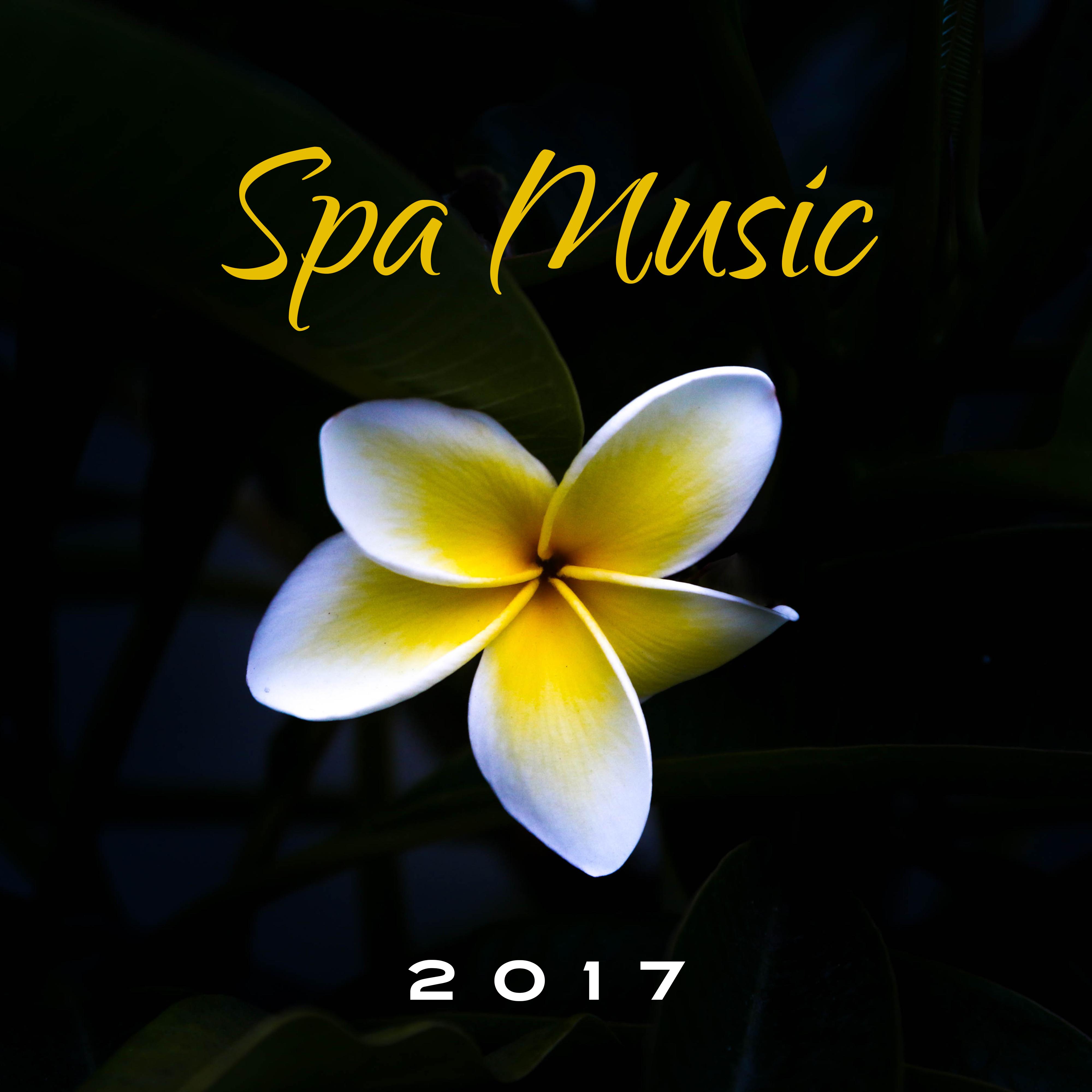 Spa Music 2017  Nature Sounds, Relaxing Spa, Calm Songs, Massage, Wellness Music 2017