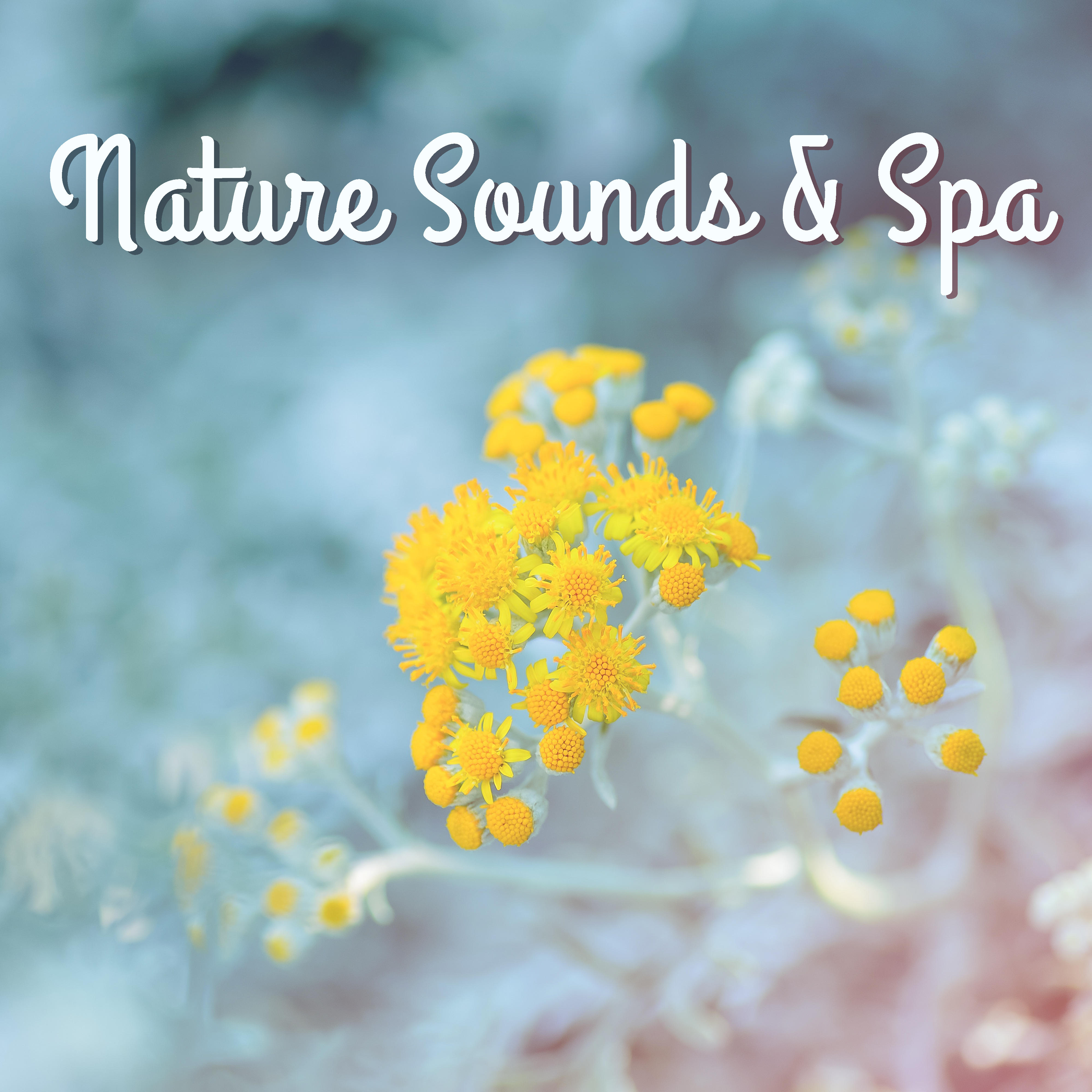 Nature Sounds  Spa  Relaxing Wellness, Anti Stress Music, Home Spa, Stress Relief, Deep Massage, Inner Healing