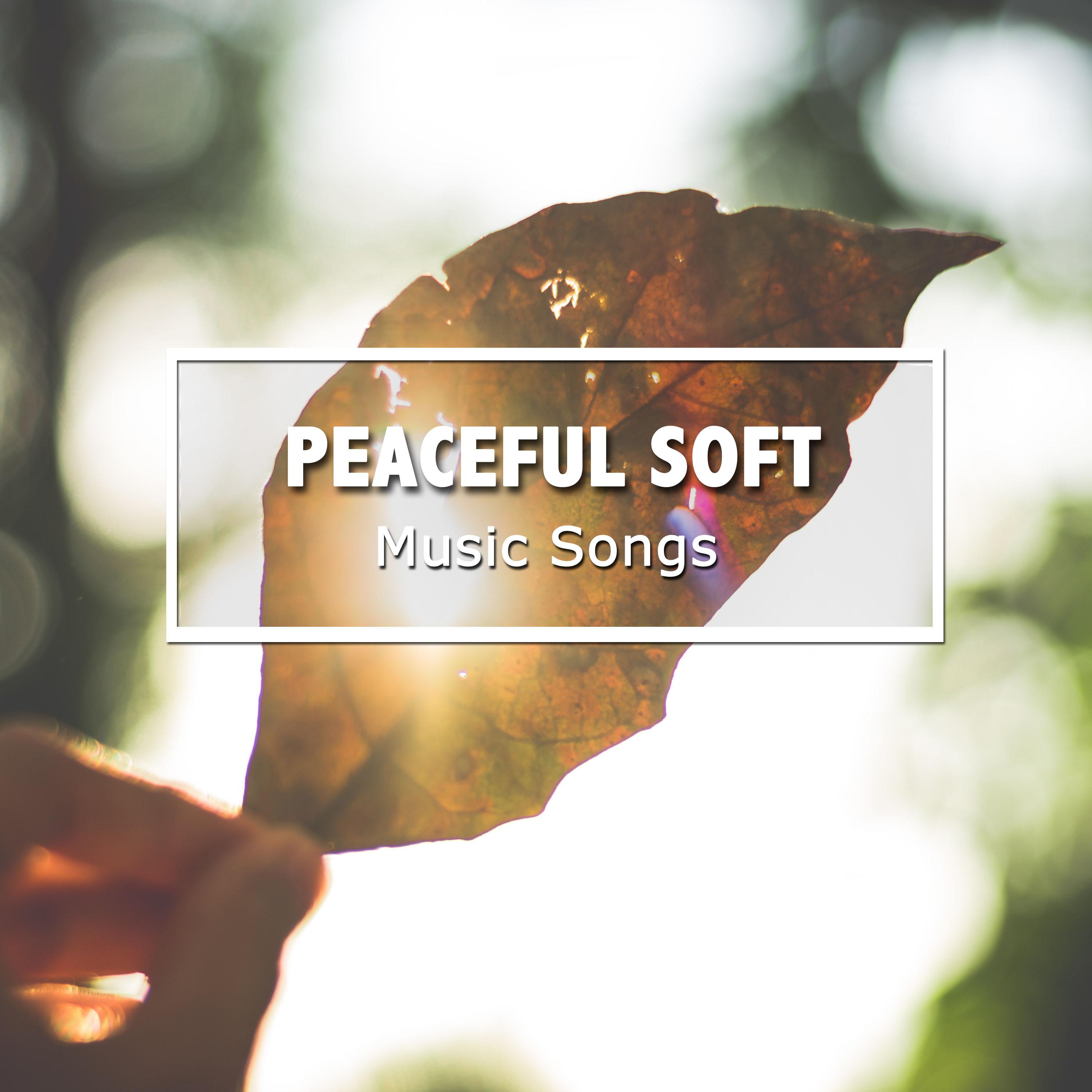 #18 Peaceful Soft Music Songs for Deep Meditation