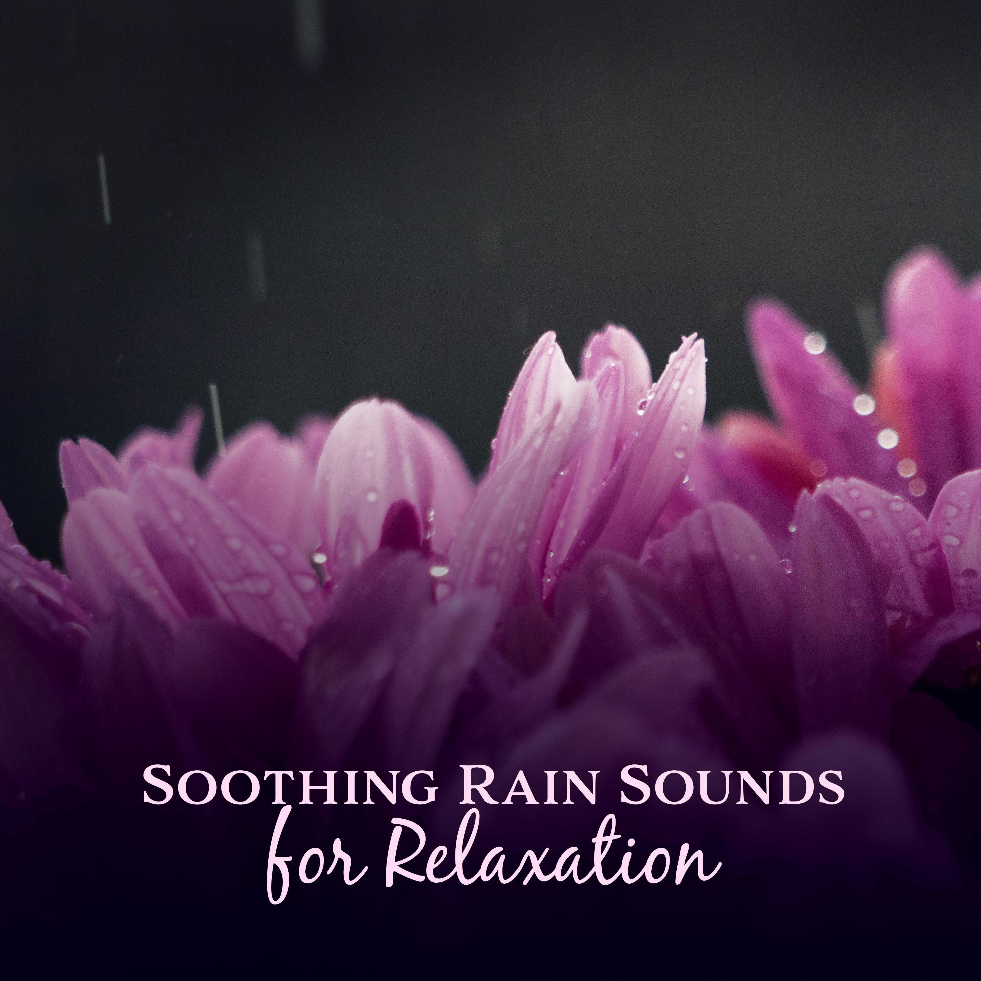 Soothing Rain Sounds for Relaxation  Nature Healing Sounds, Waves of Calmness, Mind Rest