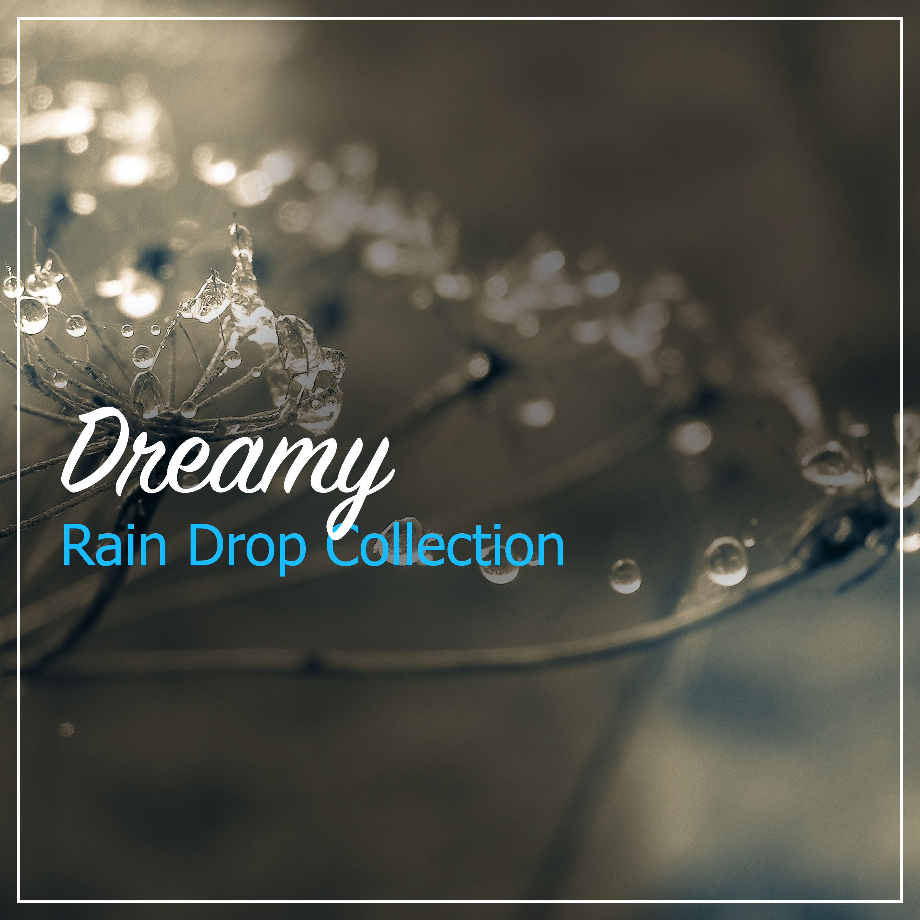 #12 Dreamy Rain Drop Collection