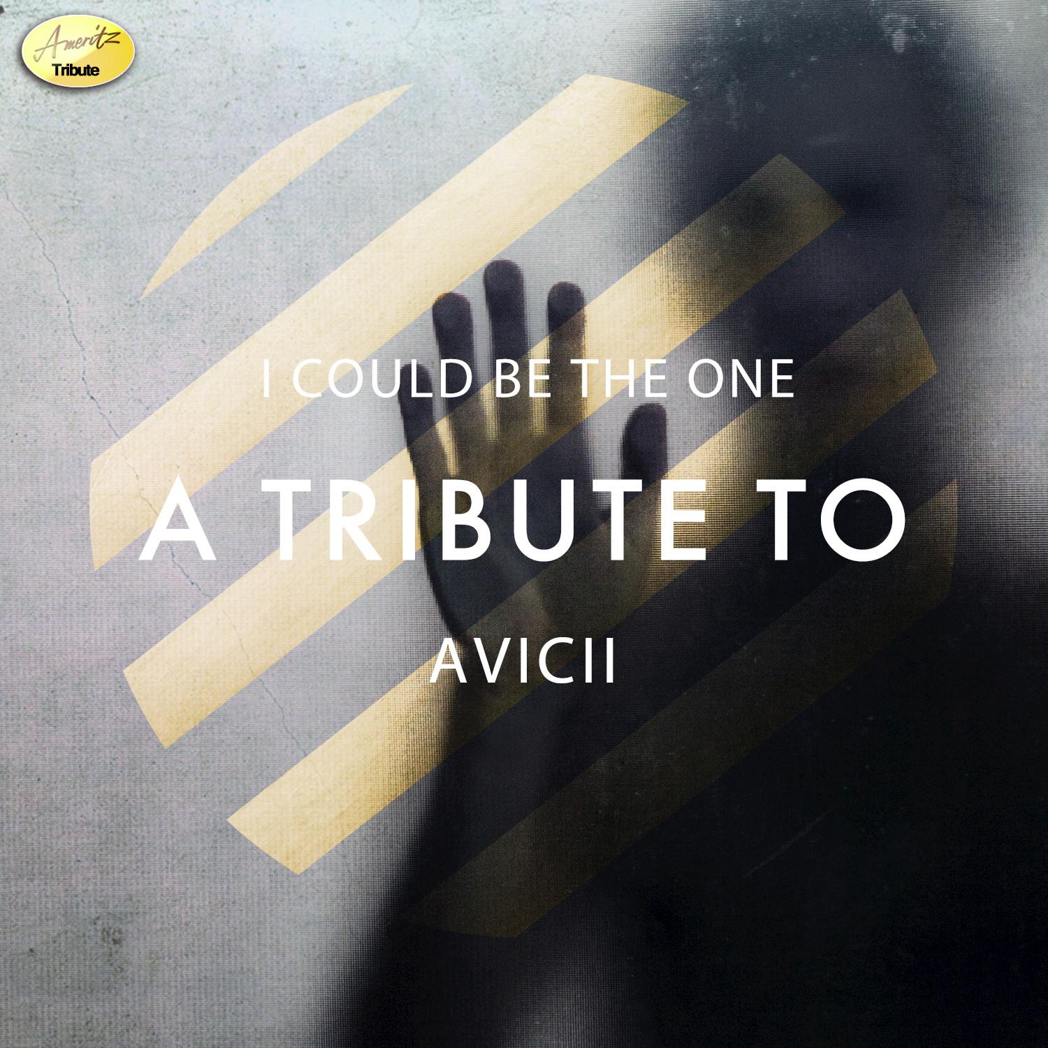 I Could Be the One - A Tribute to Avicii