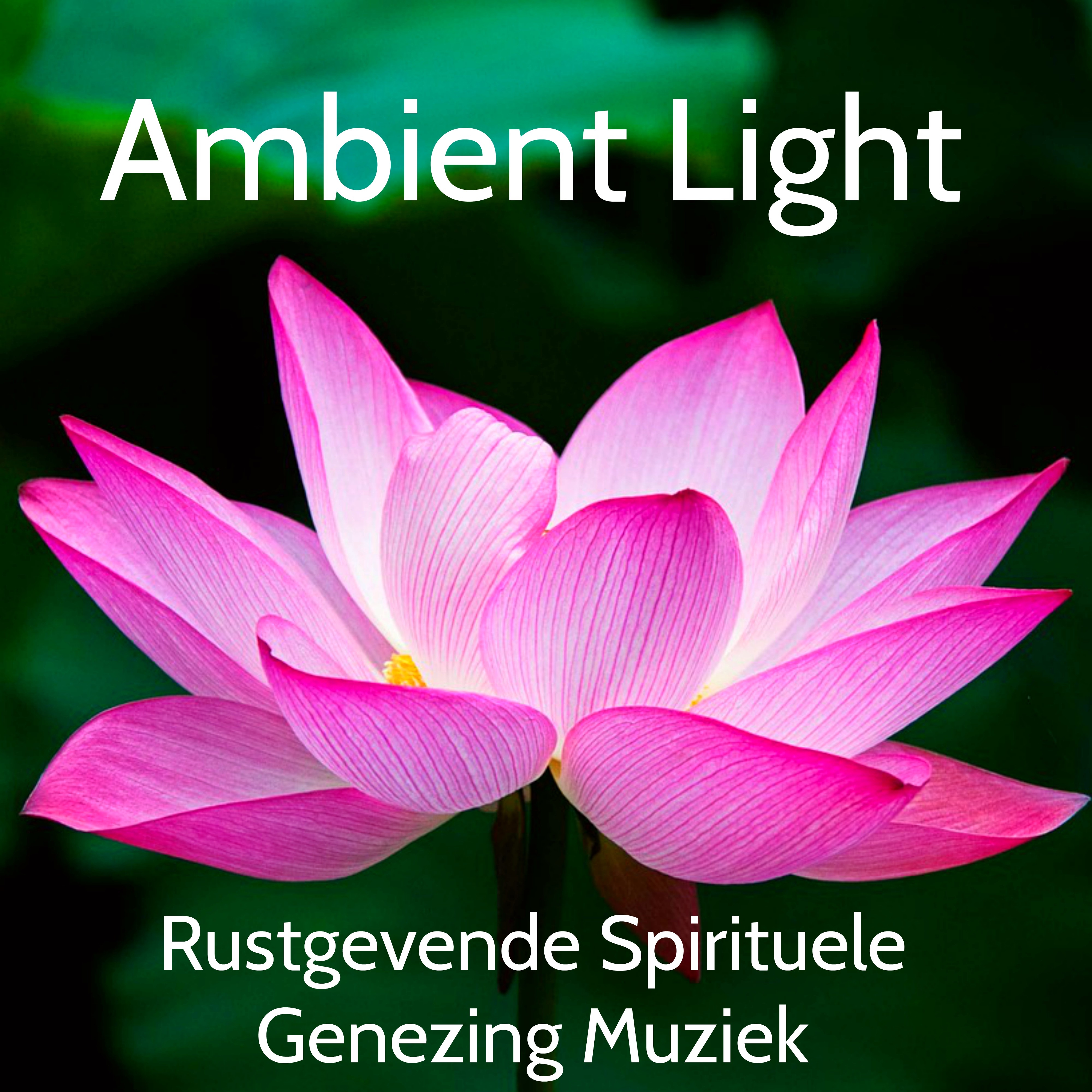 Ambient Light - Rustgevende Spirituele Genezing Muziek voor Diepe Meditatie Slaapcyclus en Beter Concentreren, Instrumentale Natuurgeluiden