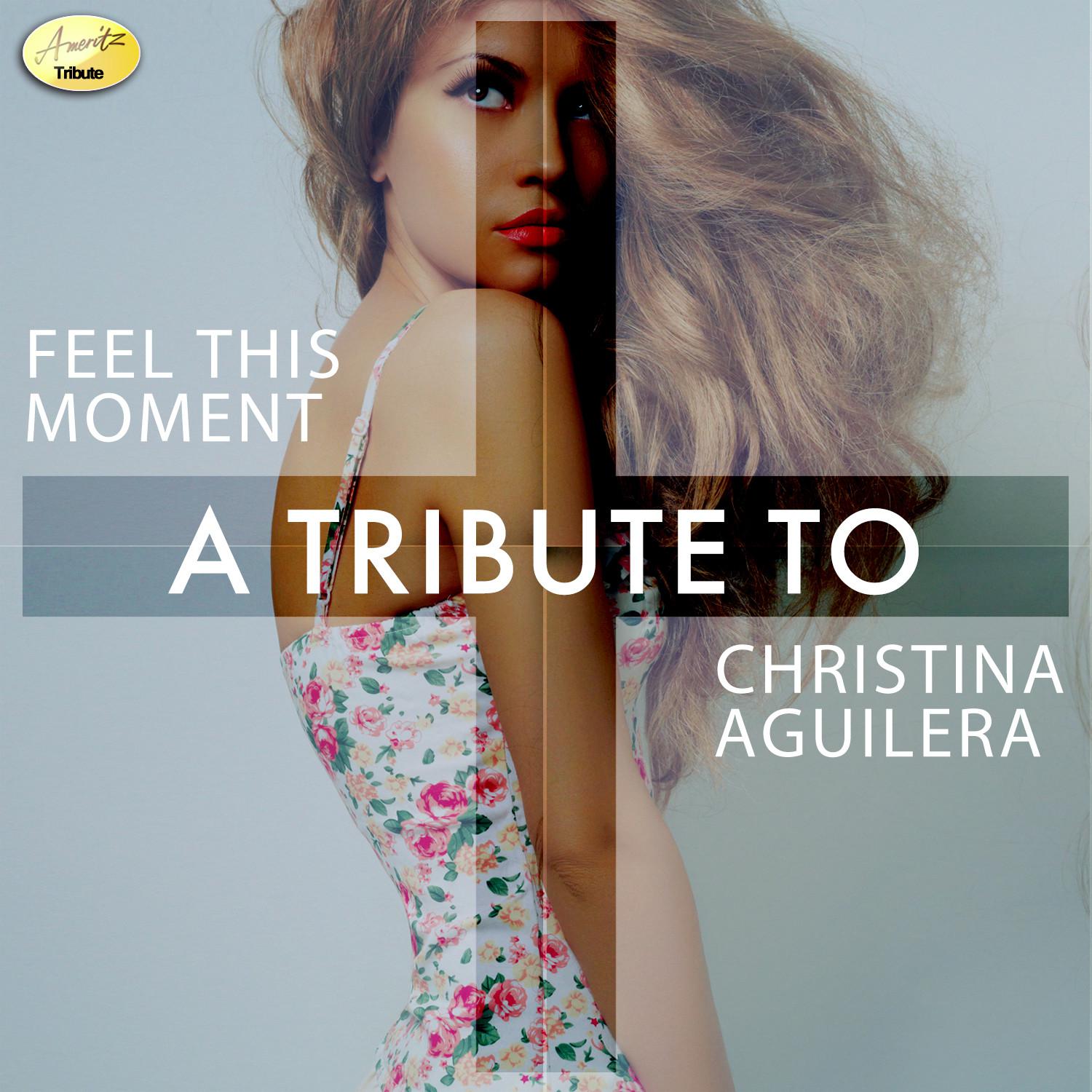 Feel This Moment - A Tribute to Christina Aguilera