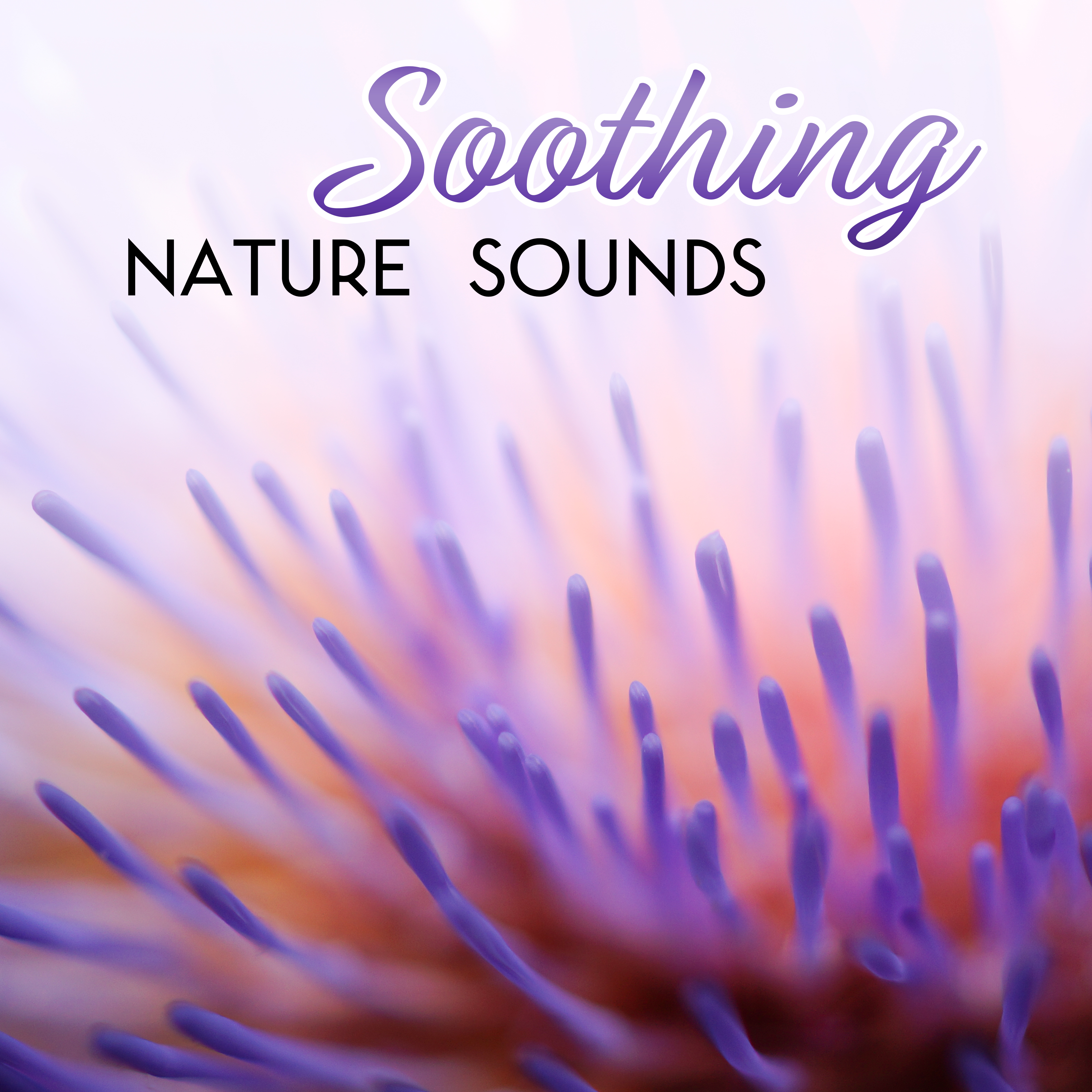 Soothing Nature Sounds