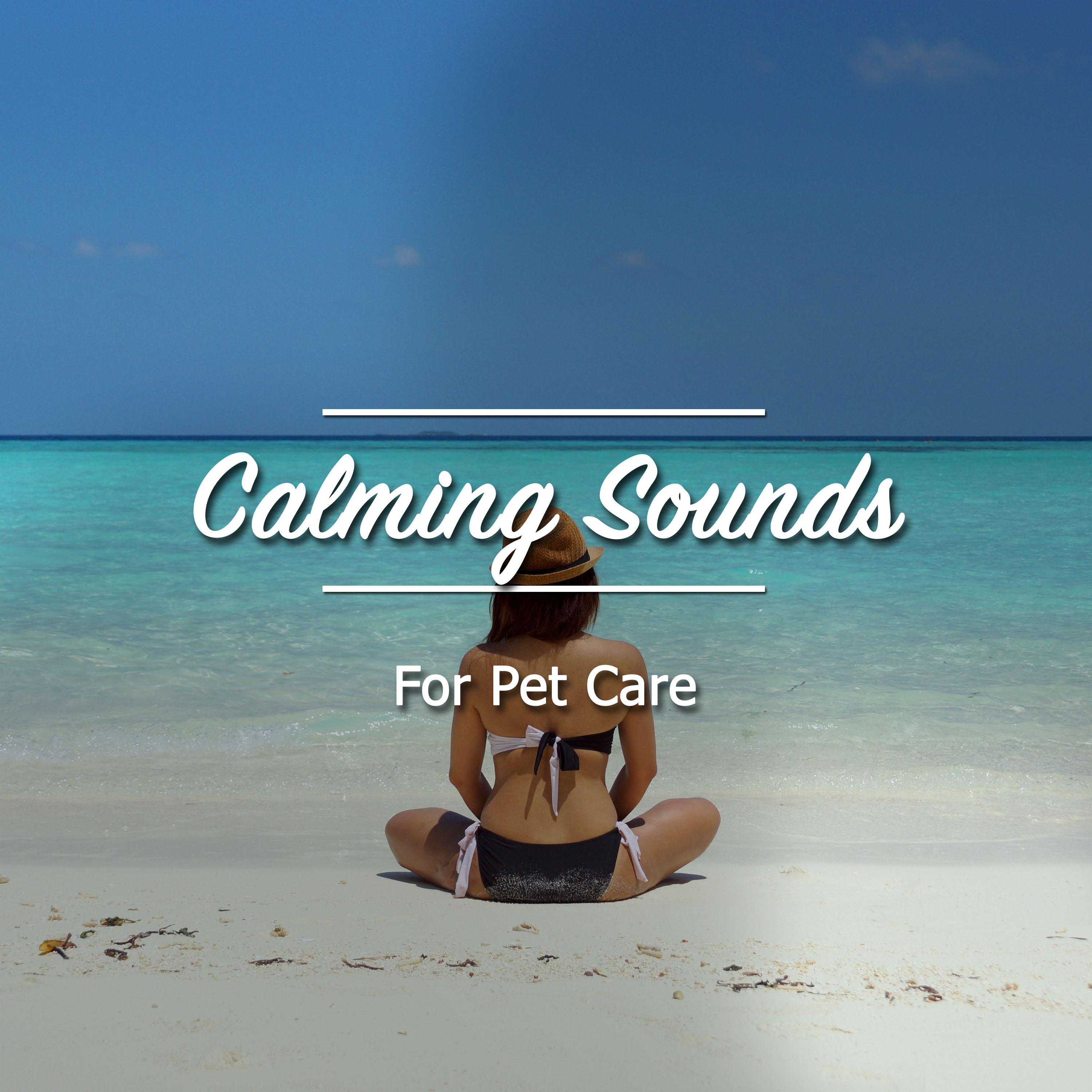 12 Calming Sounds for Pet Care