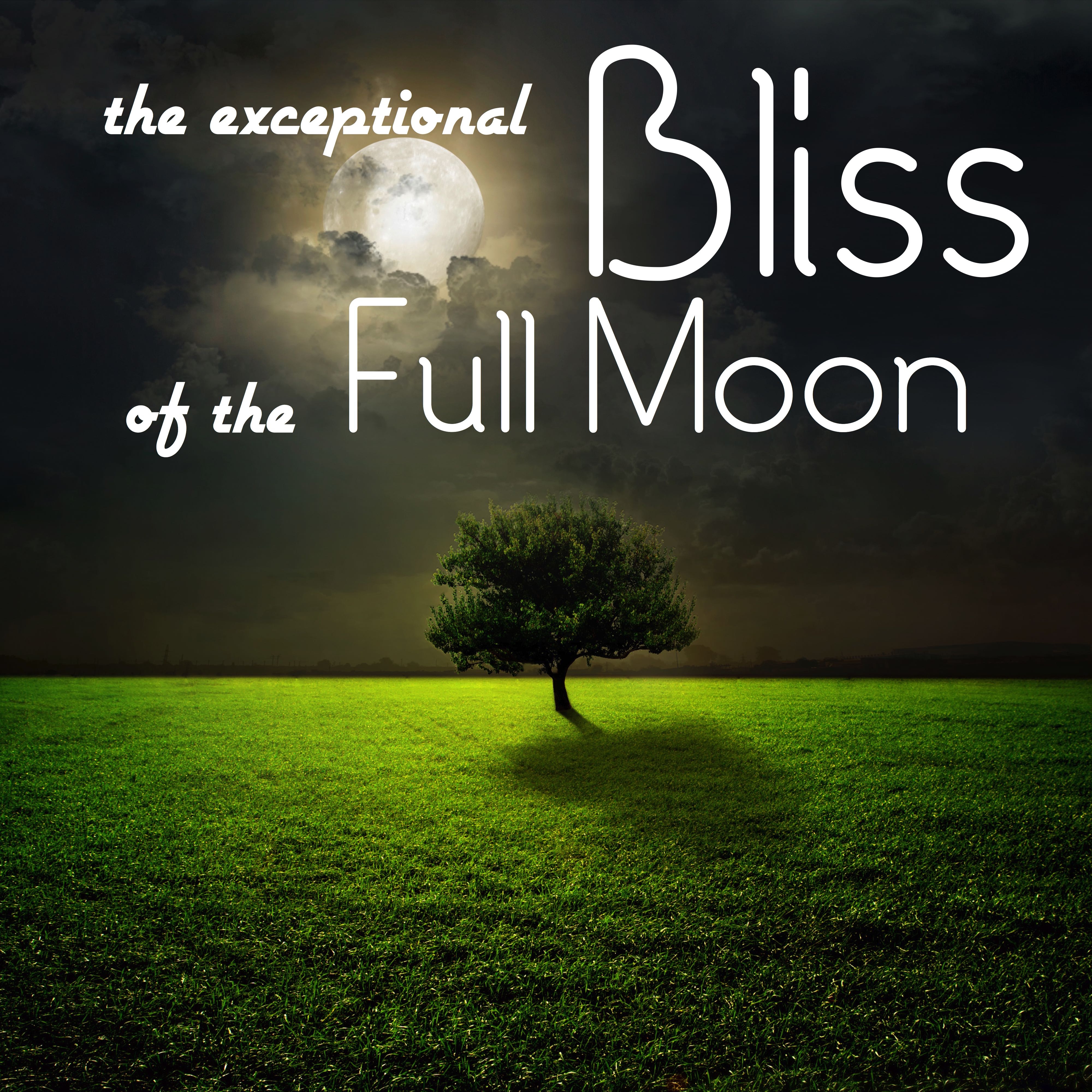 The Exceptional Bliss of the Full Moon: Magnificent Sounds for Relaxation, Meditation and Deep Sleep with Natural White Noise