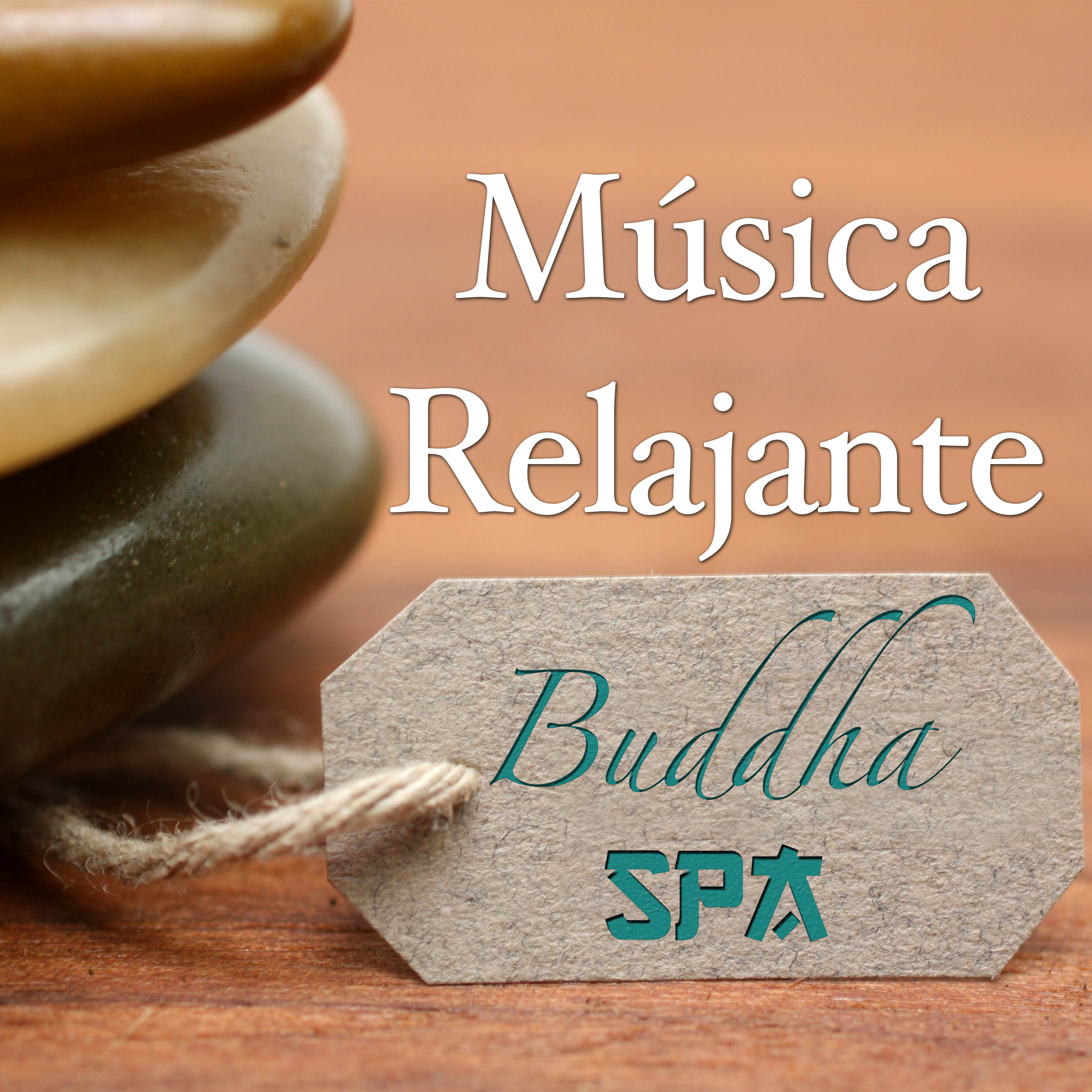 Spa Buddha: Mu sica Relajante para una Terapia de Relajacio n de Spa y Salon de Belleza para Tu Paz Interior