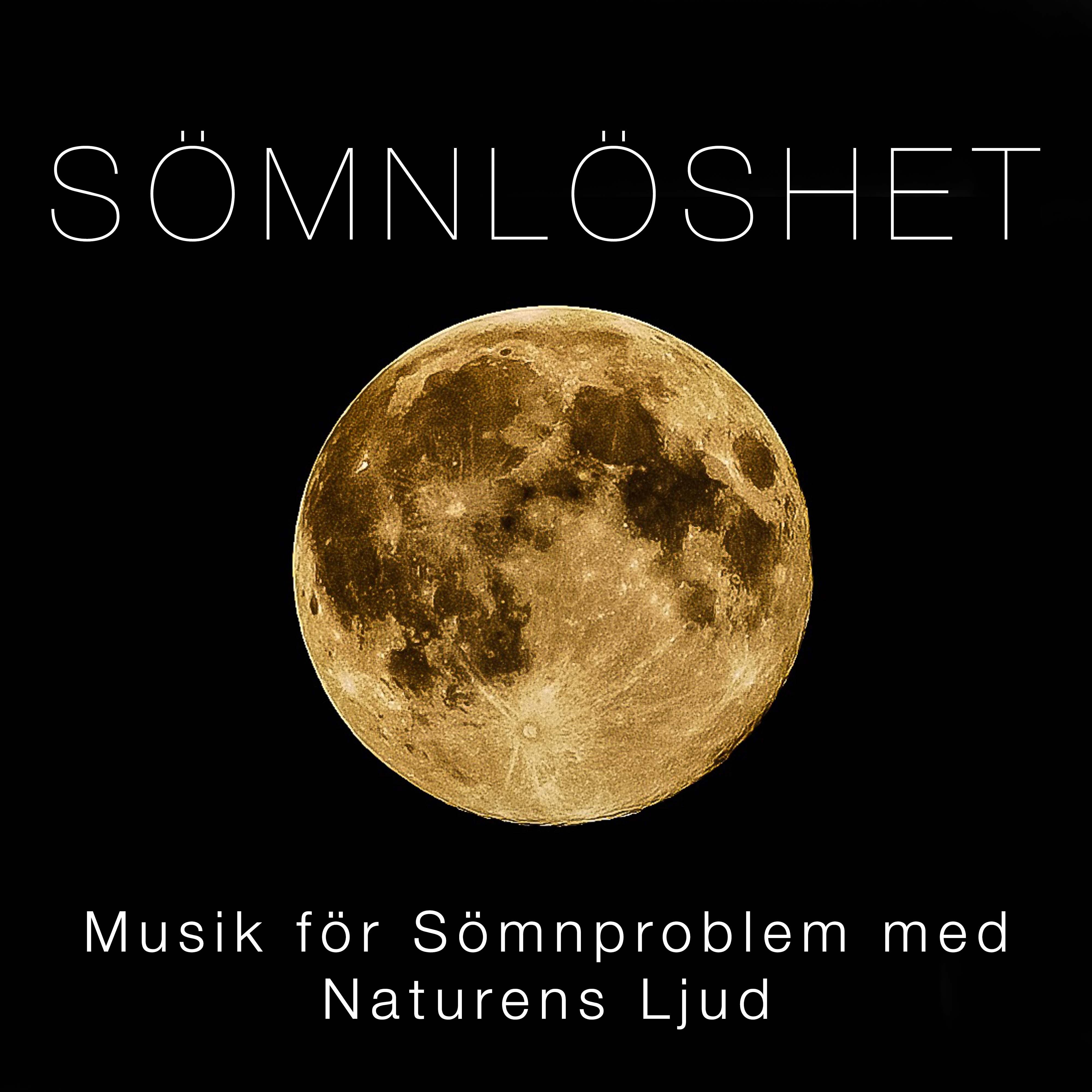 S mnl shet  Musik f r S mnproblem med Naturens Ljud och Pianomusik