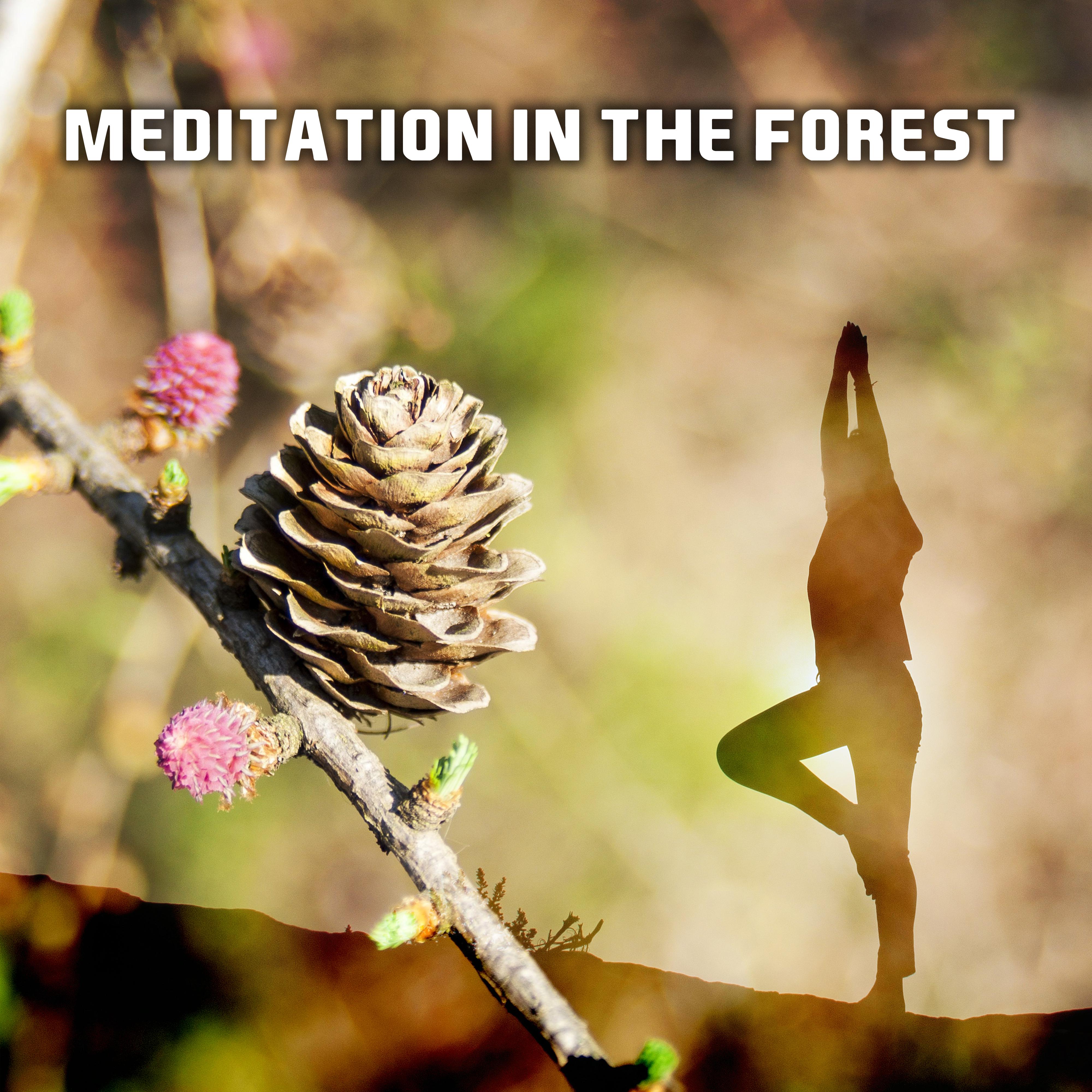 Meditation in the Forest  Relaxing Music, Be Close The Nature, Feel Inner Calmness, Zen, Bliss