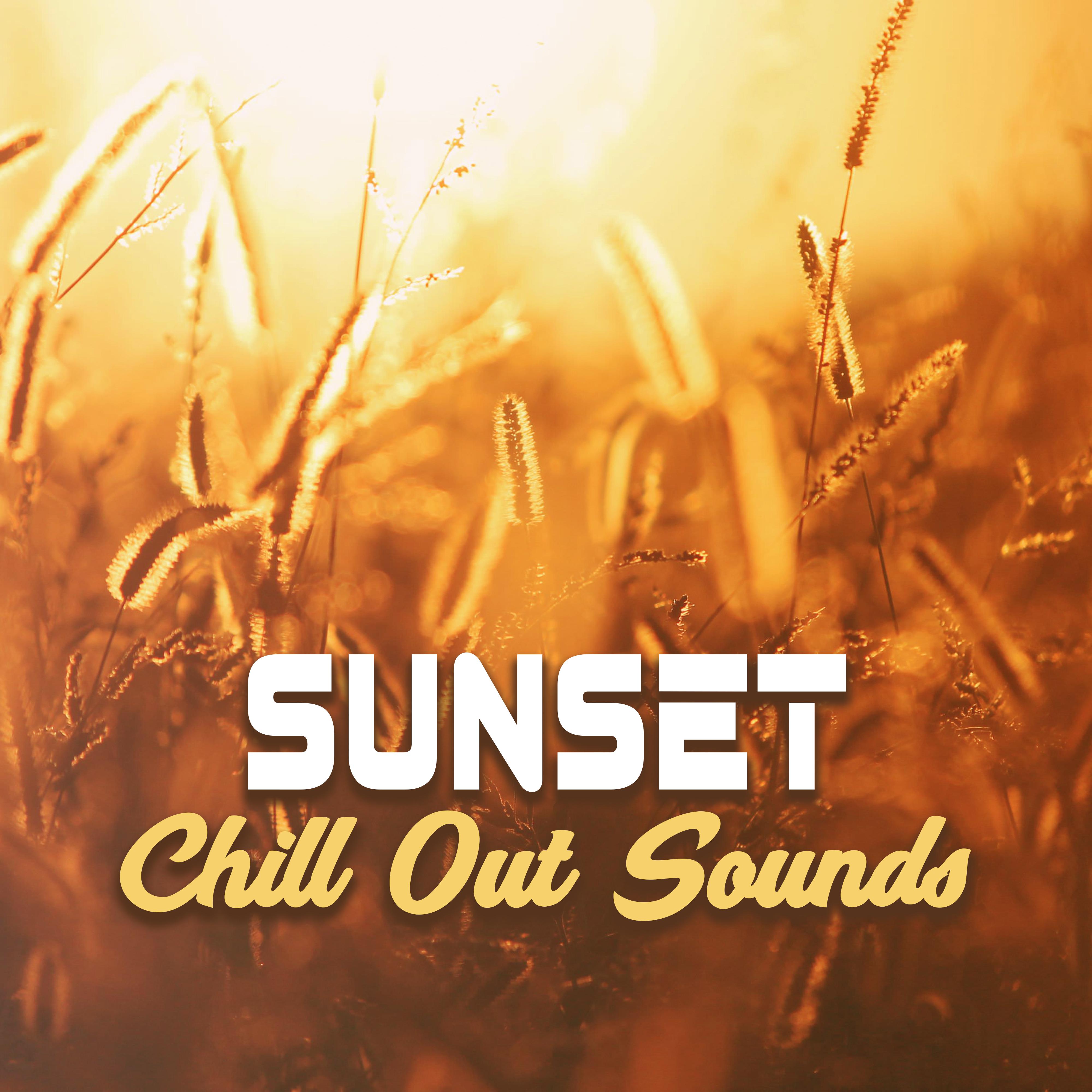 Sunset Chill Out Sounds  Peaceful Chill Out, Summer Vibes, Easy Listening, Stress Relief