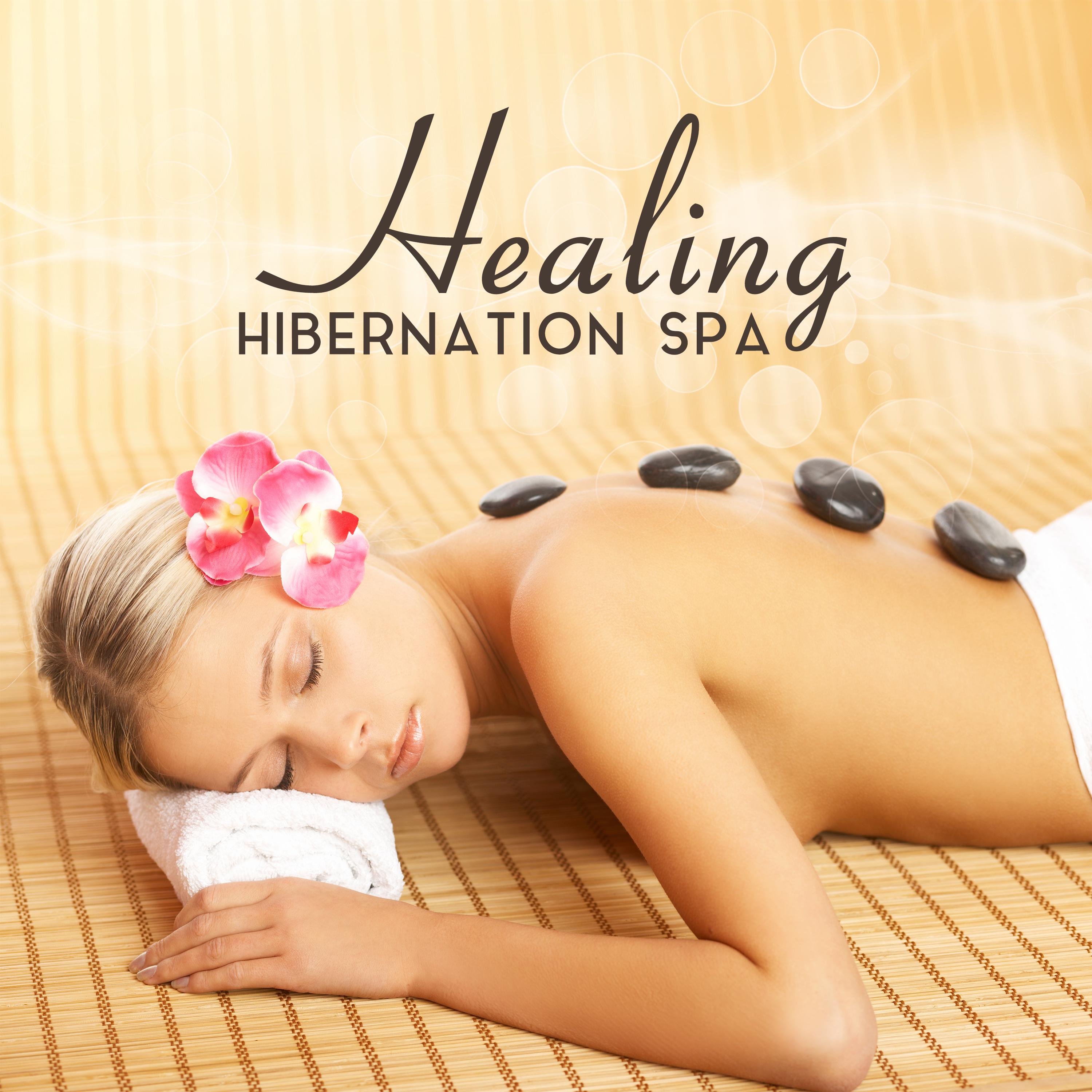 Healing Hibernation Spa (Silent Rejuvenation, Vital Regeneration, Organic Treatment, Catharsis Relaxation, Zen Massage)