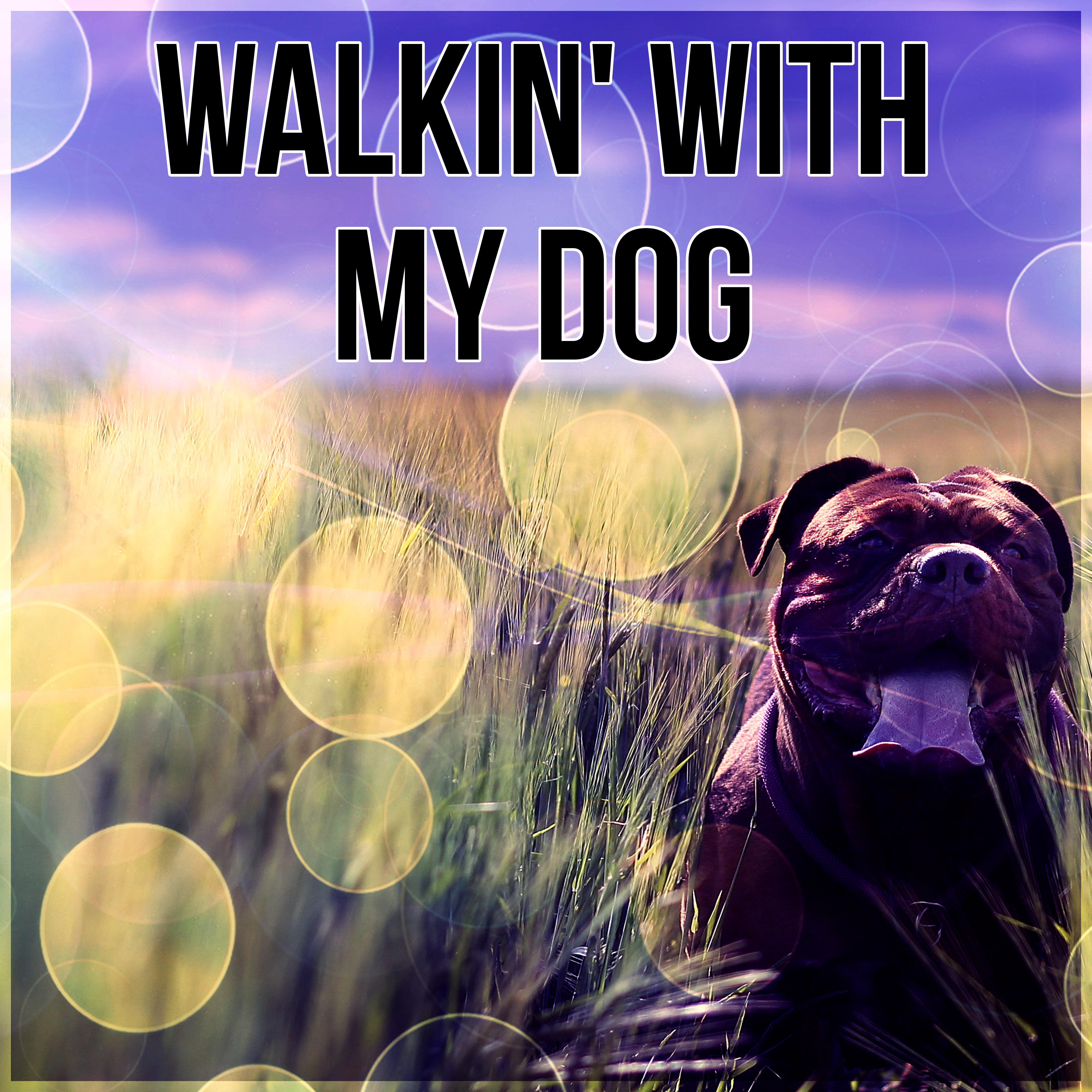 Walkin' with My Dog  Calming Music to Relax and Calm Down Your Dog, Pet Relaxation, Stress Relief, Anxiety Medication, Sleep Aids, Music Therapy for Dogs, Comfort and Happiness with Nature Sounds