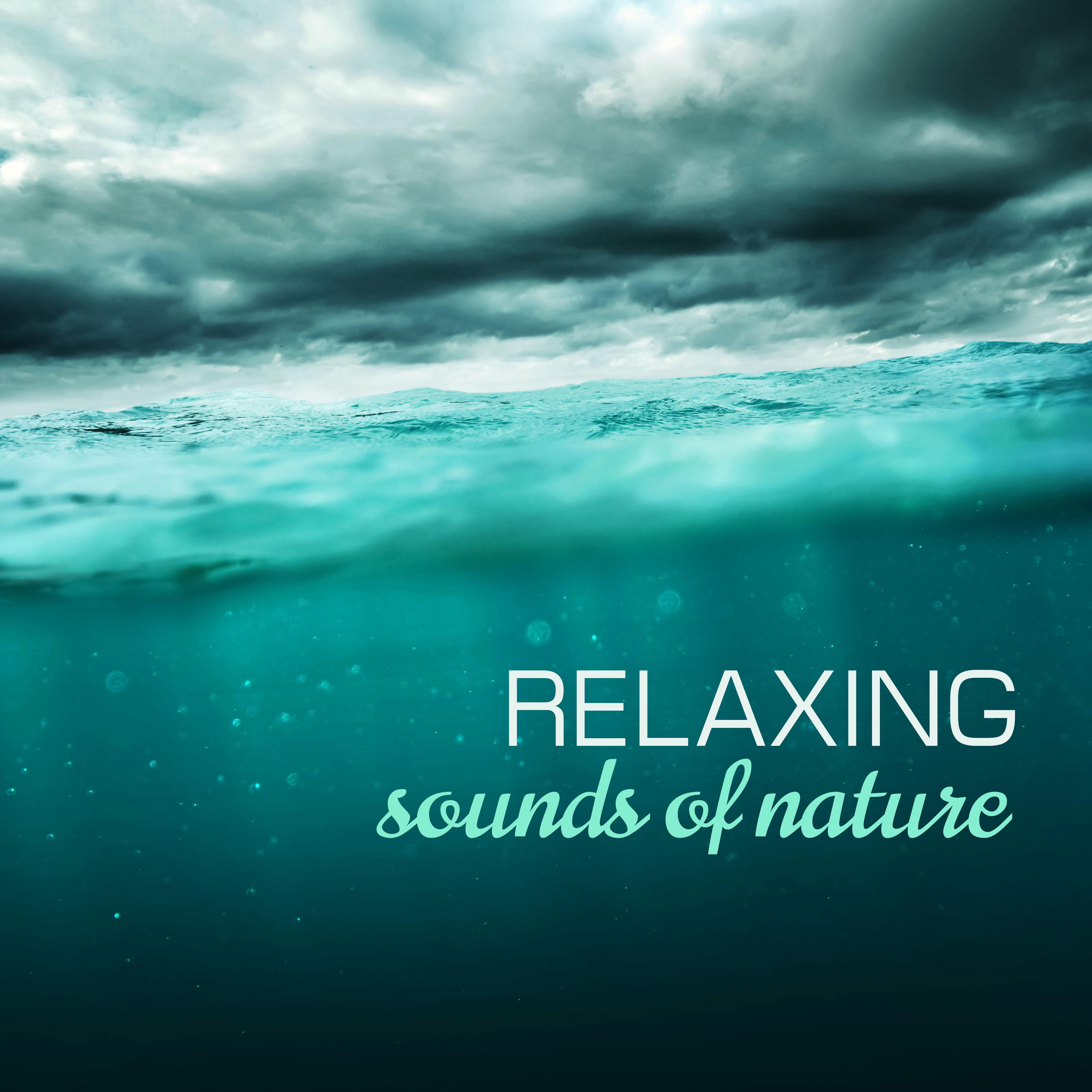 Relaxing Sounds of Nature Study Music Project