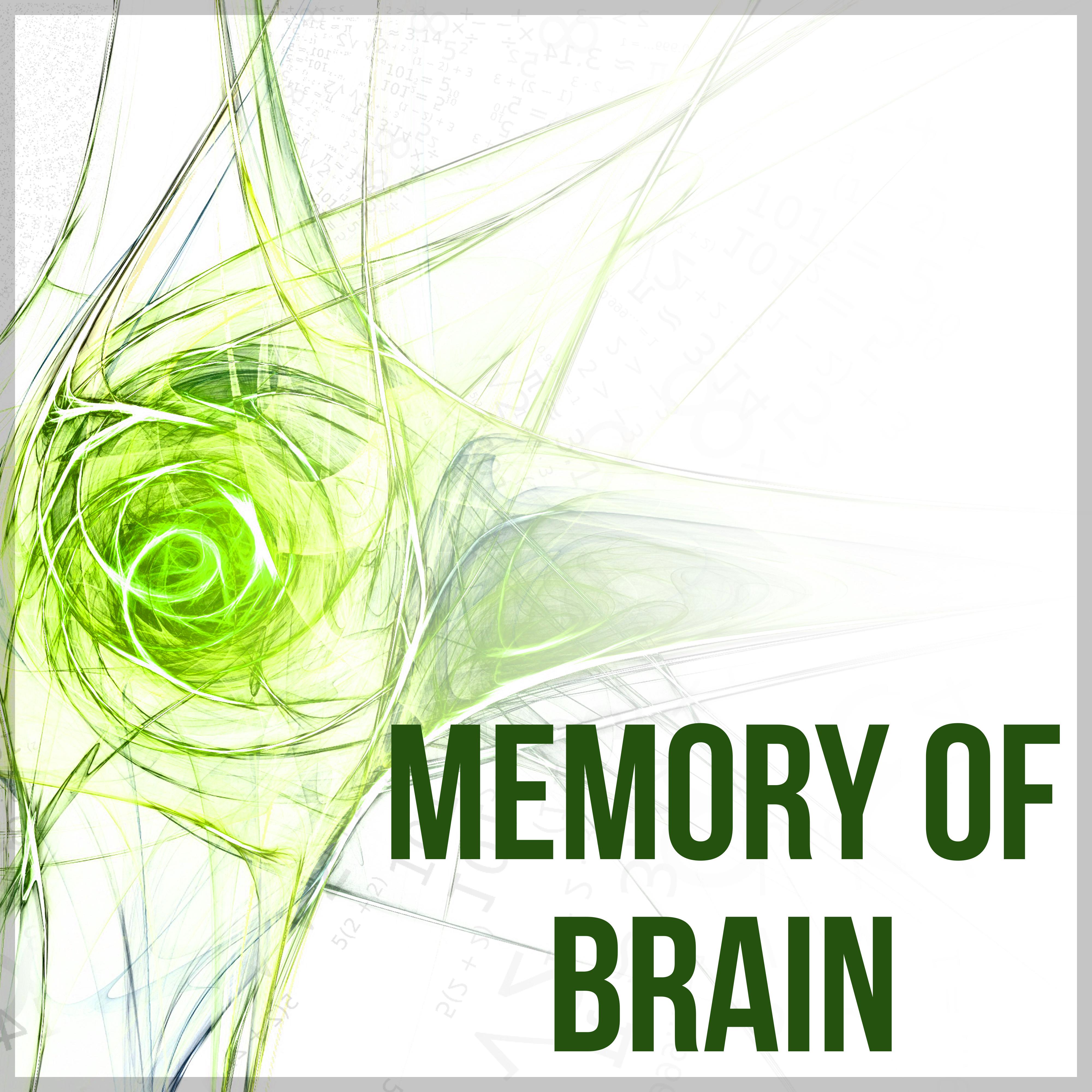 Memory of Brain  Music for Study, Calm Music for Relax, Soft Music for Brain Power, Improve Concentration, Focus, Deep Brain Stimulation, Mind Games