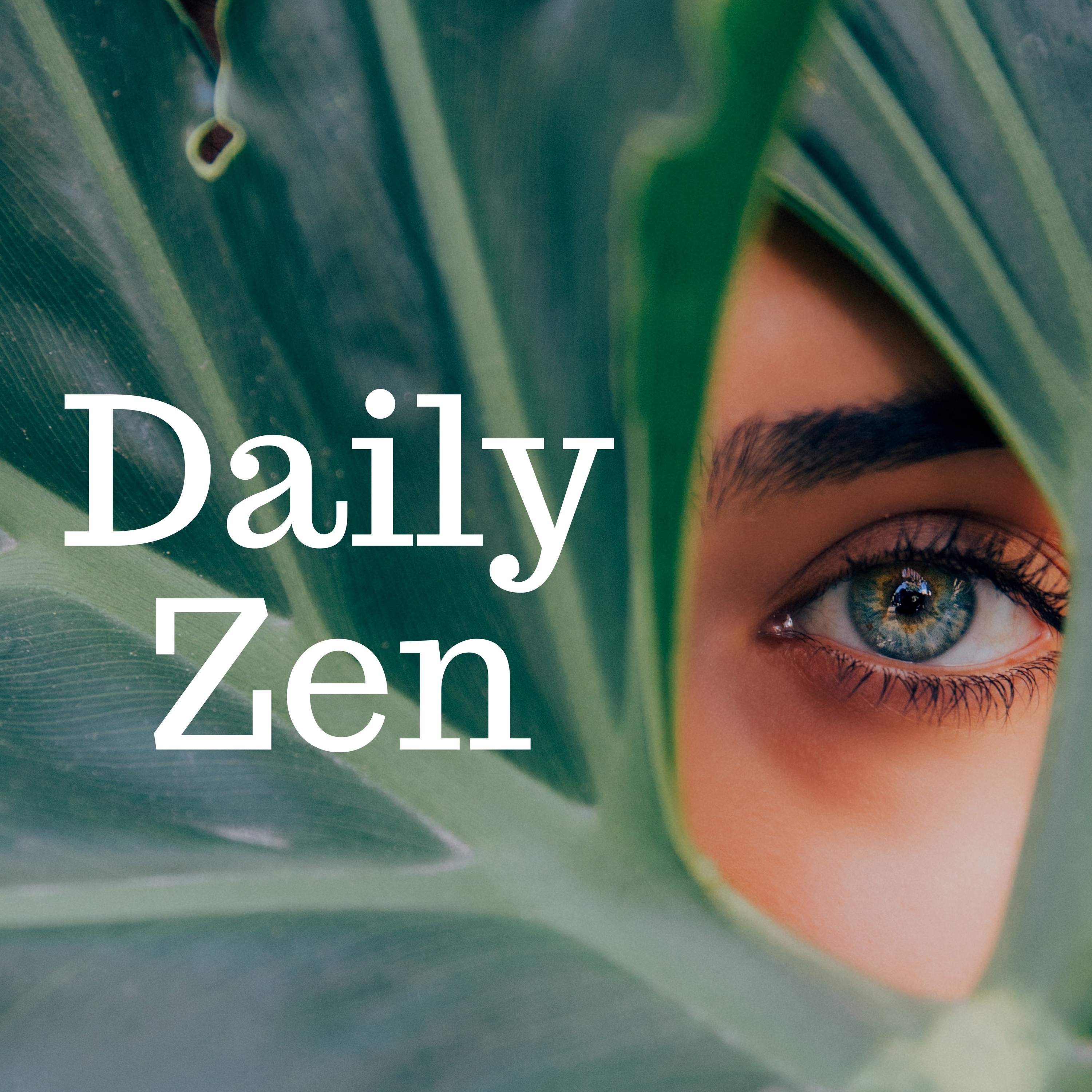 Daily Zen: The Best Meditation & Yoga Music for Meditation & Yoga Practice with Nature Sounds