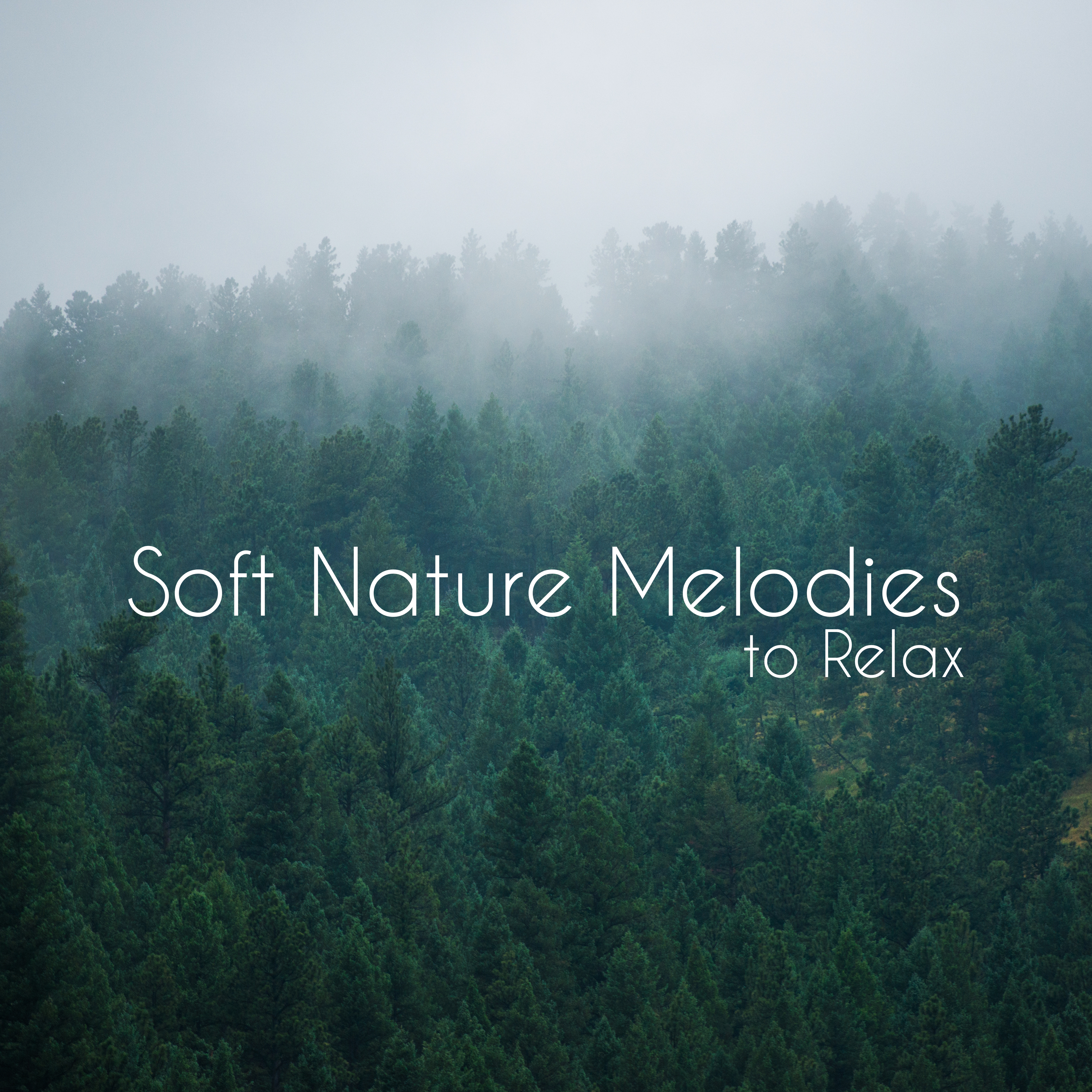 Soft Nature Melodies to Relax