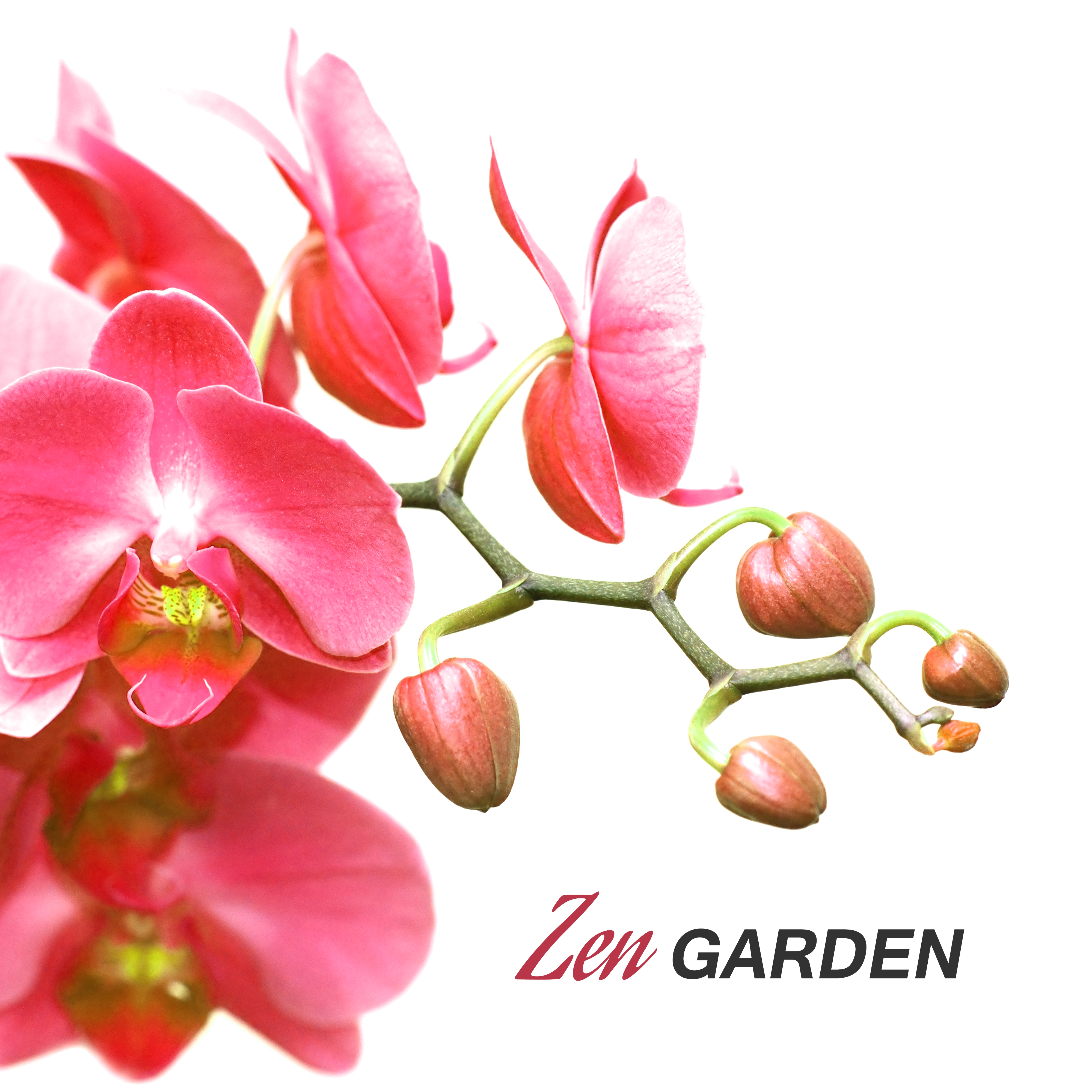 Zen Garden  Calming Sounds of Nature, Bliss, Relax, Zen, Meditation, New Age 2017