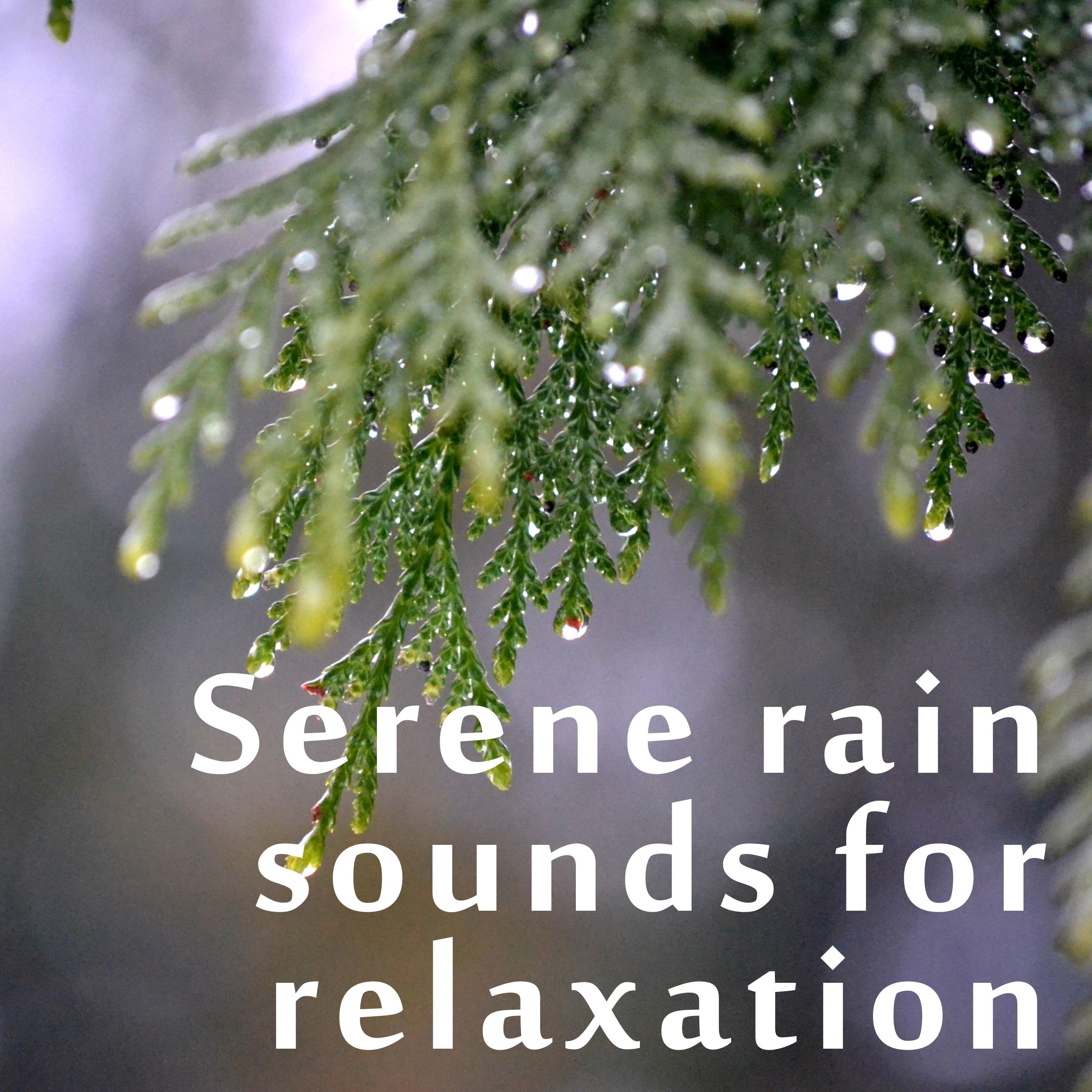 19 Rain Sounds for Meditation Focus, Sleep and Relaxation