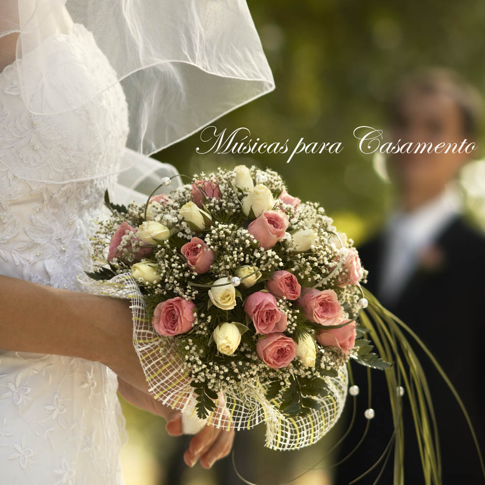 Mu sicas para Casamento e Marcha Nupcial