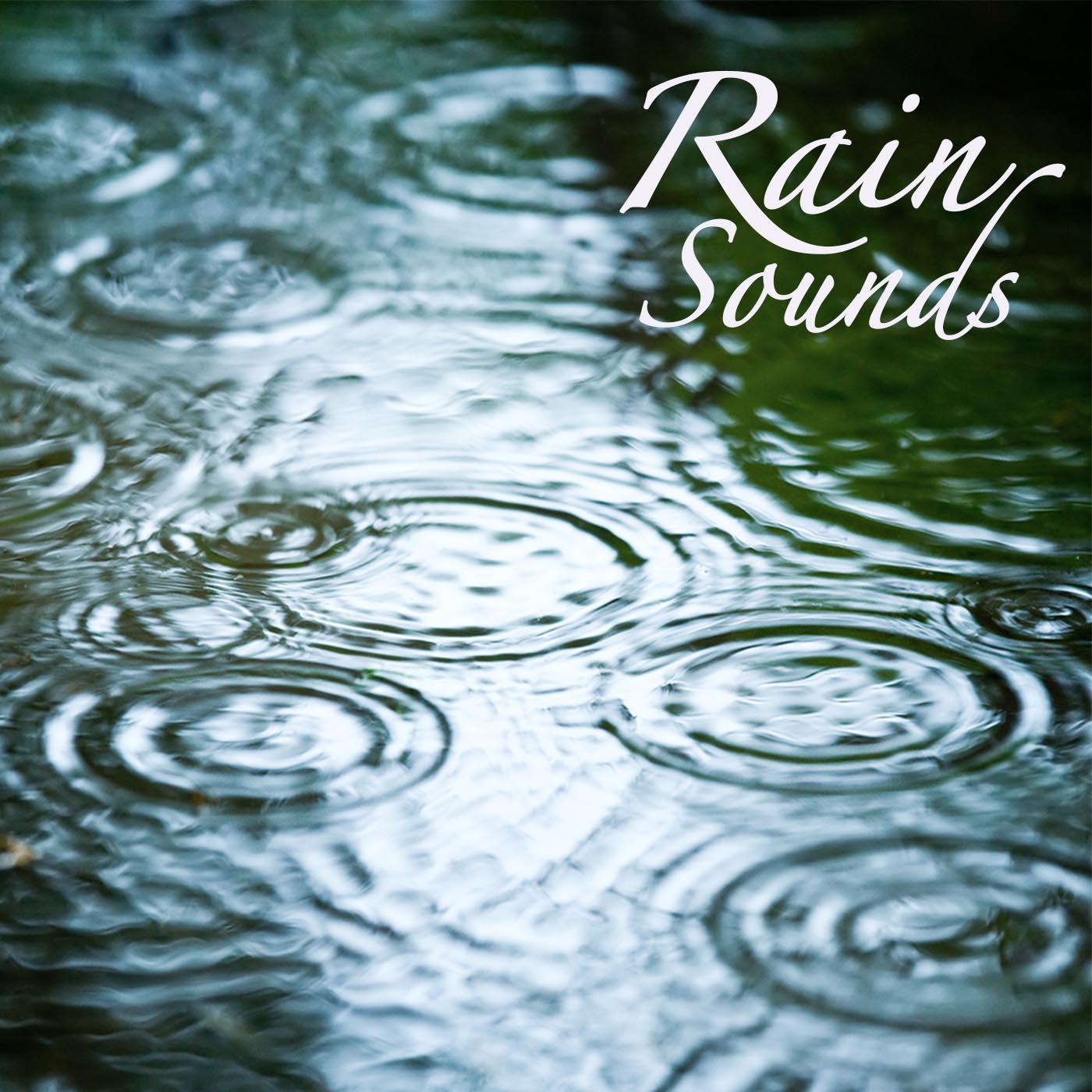 Rain Sounds: Rain Sound Meditation, Relaxing Sound of Rain, Massage Yoga Music and Ambient Soothing Sounds