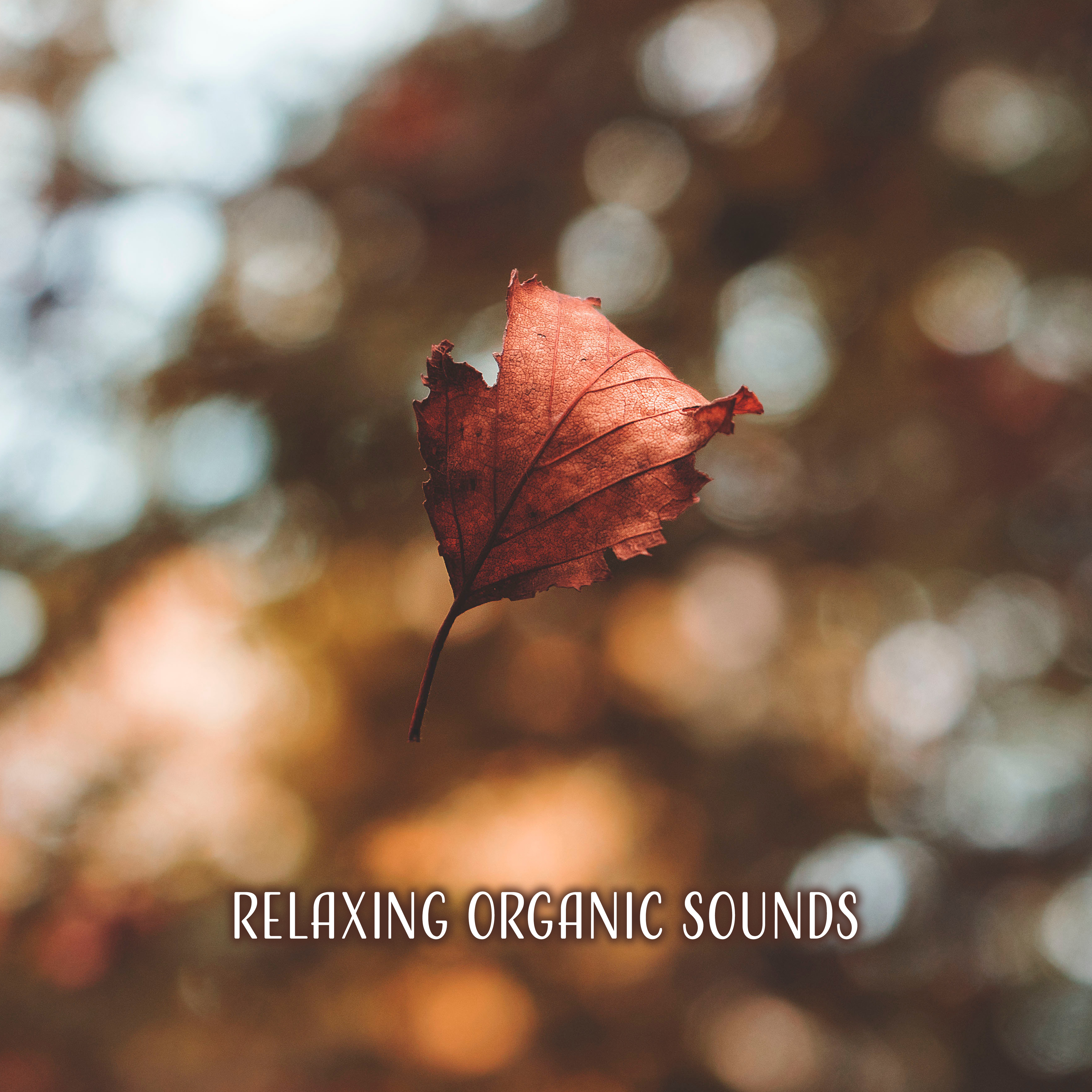 Relaxing Organic Sounds