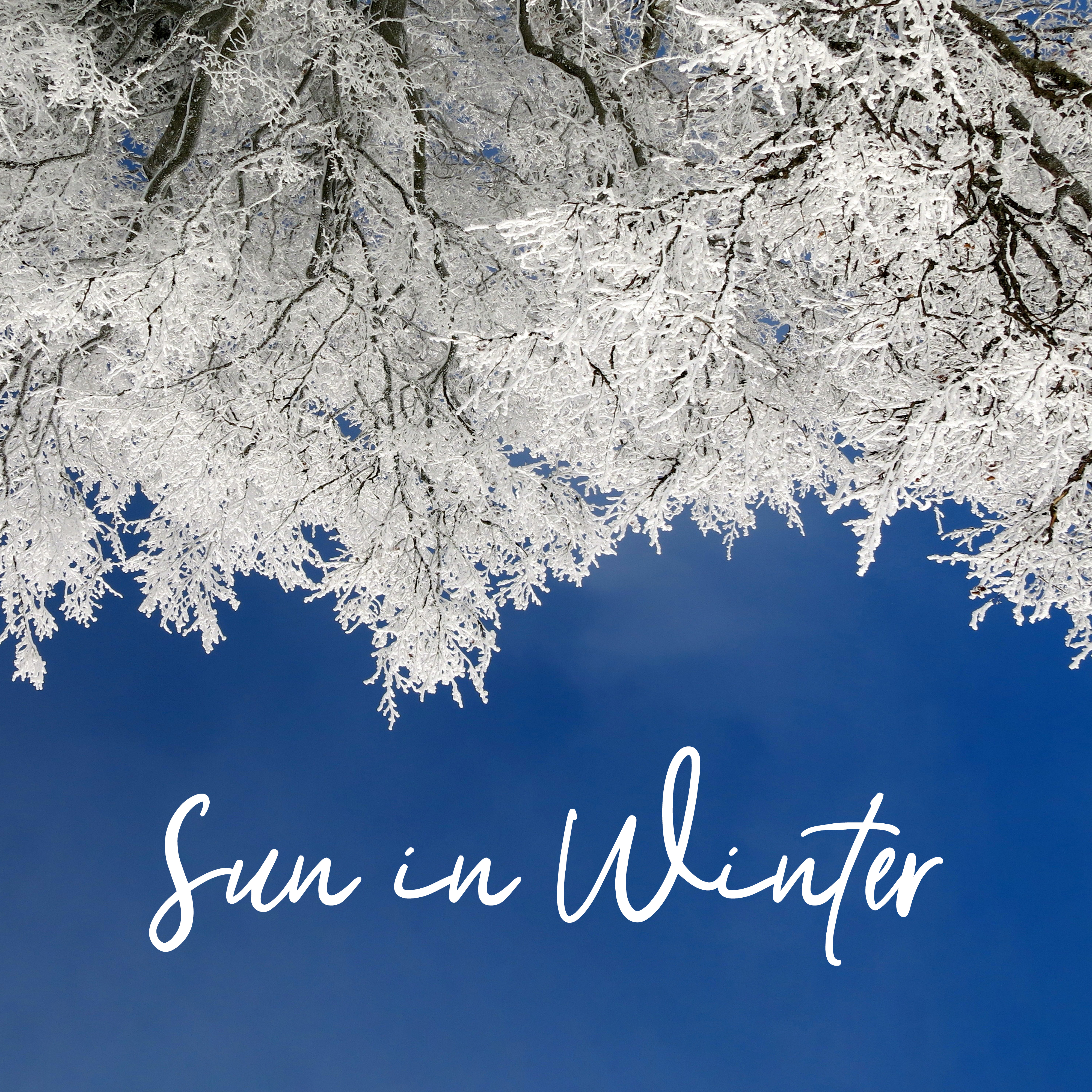 Sun in Winter - Sunny Melodies for Cold Evenings, Icy Days and Brisk Mornings