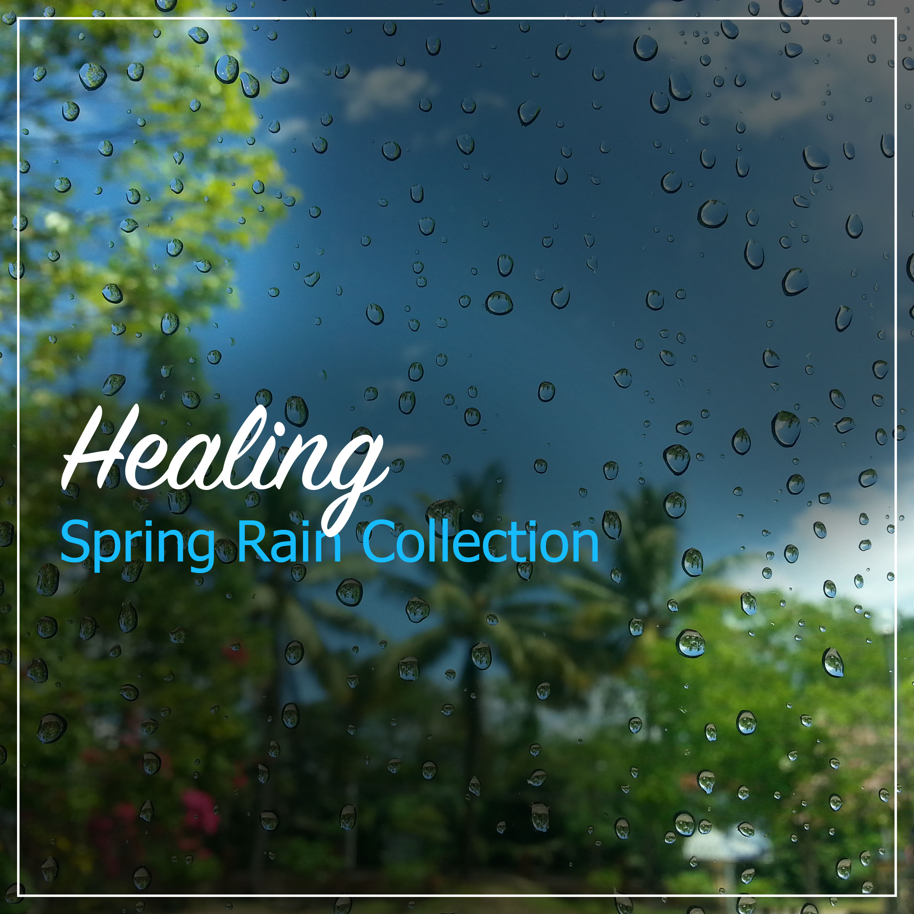 #19 Healing Spring Rain Collection