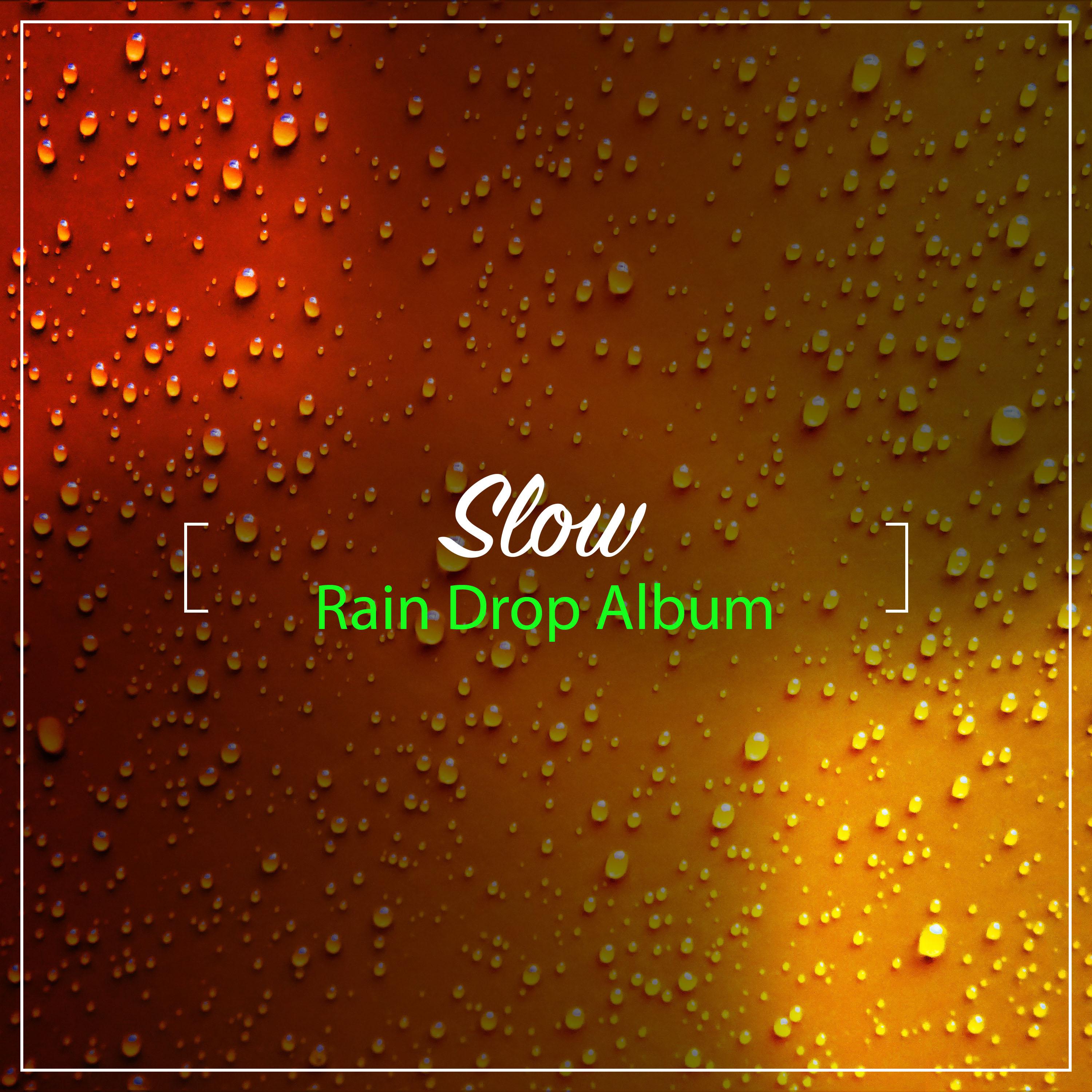 #15 Slow Rain Drop Album